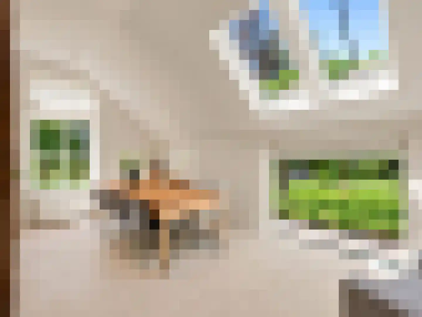 Voorsterweg 126 Brummen thumbnail 12