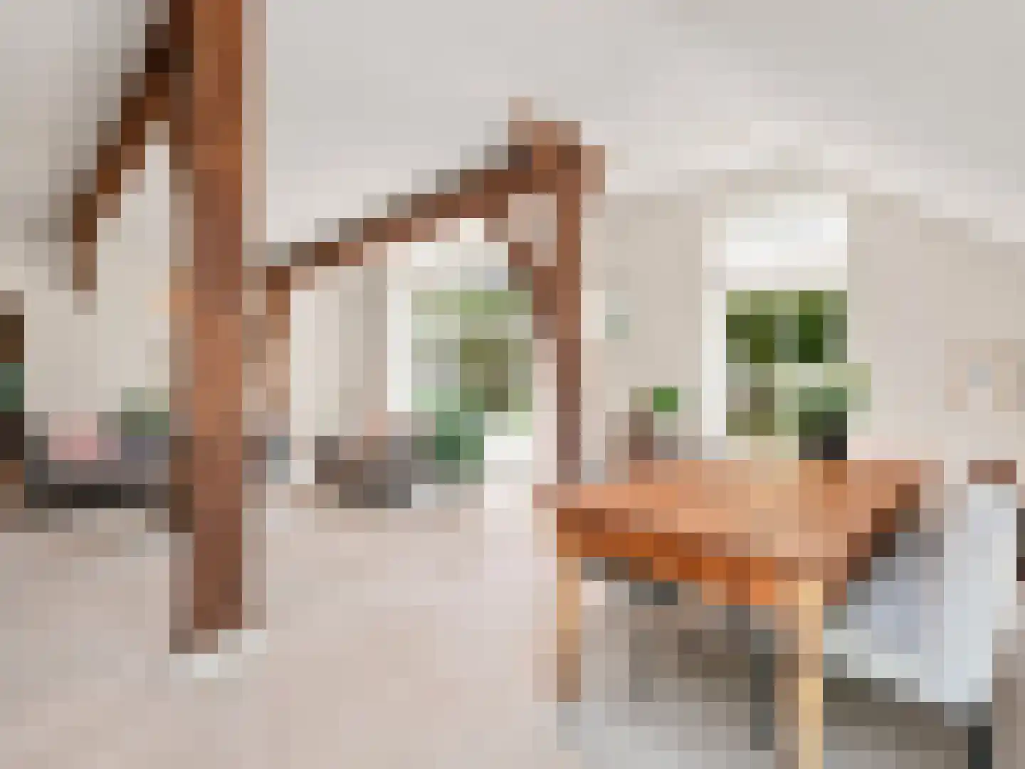 Voorsterweg 126 Brummen thumbnail 13