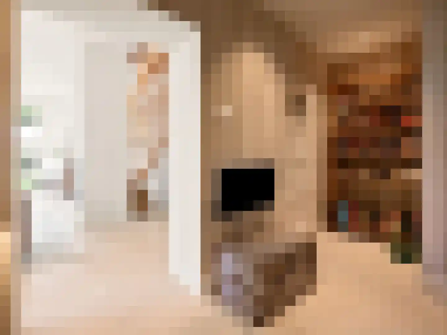 Voorsterweg 126 Brummen thumbnail 15