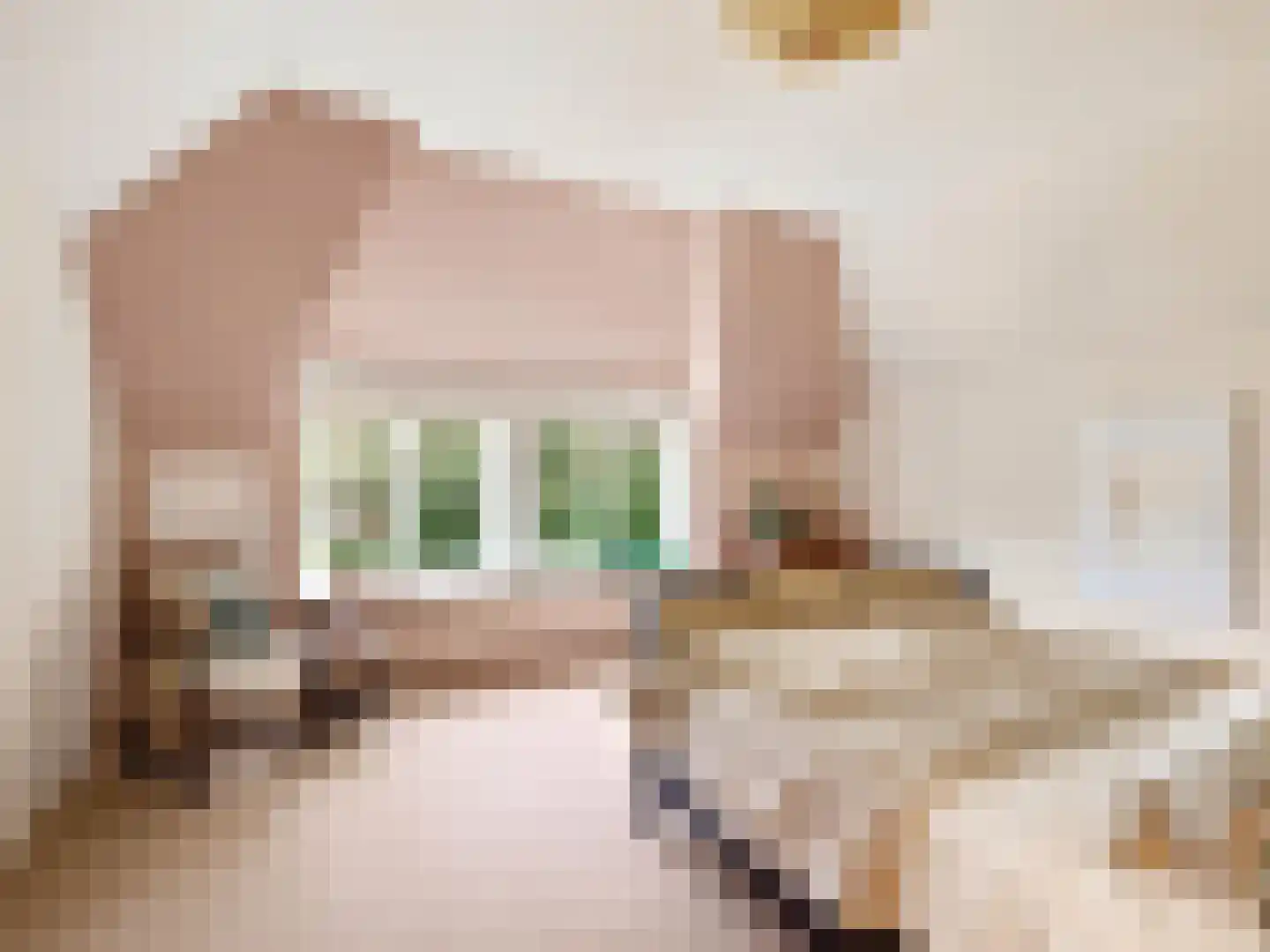 Voorsterweg 126 Brummen thumbnail 30