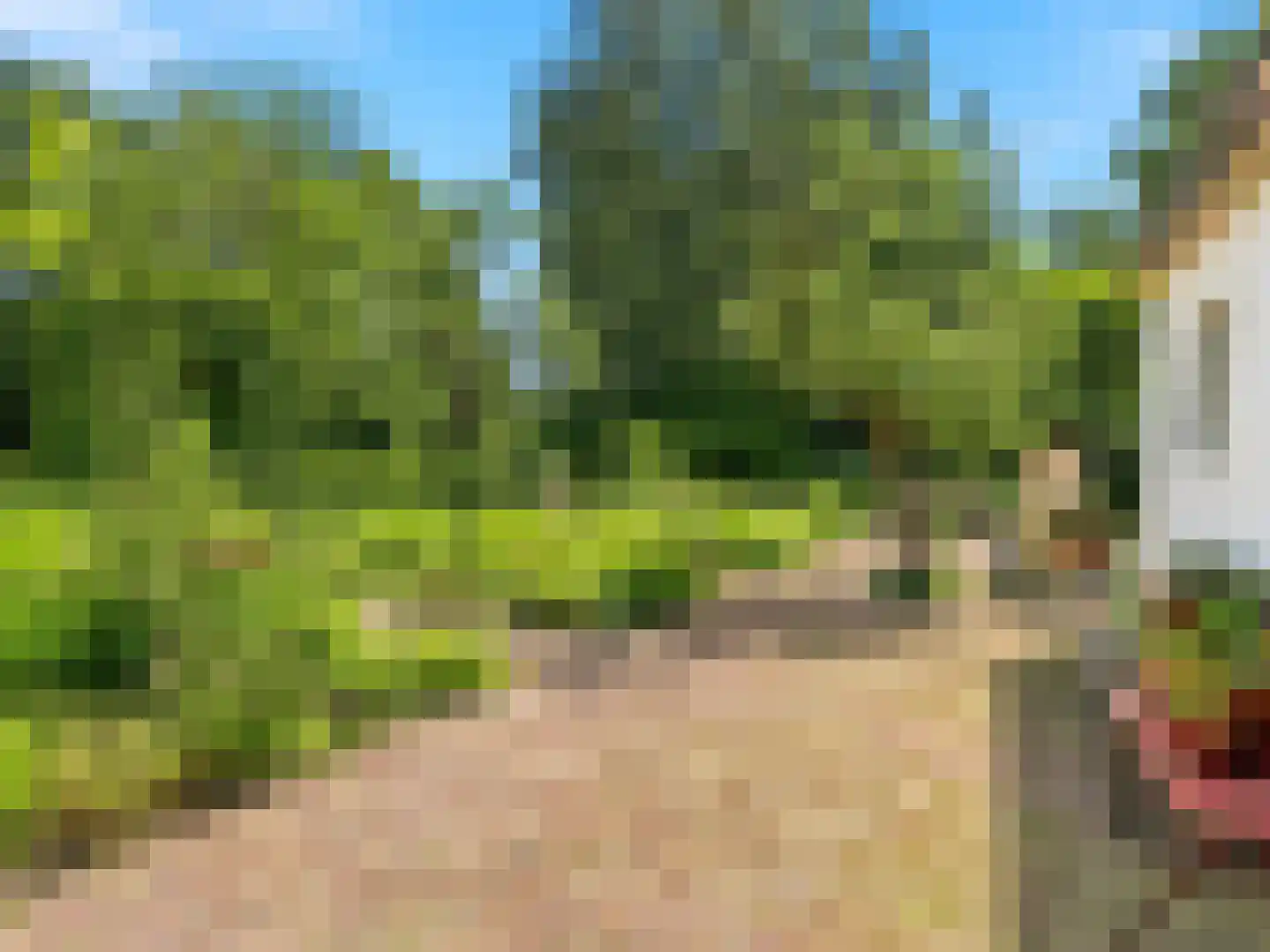Voorsterweg 126 Brummen thumbnail 38