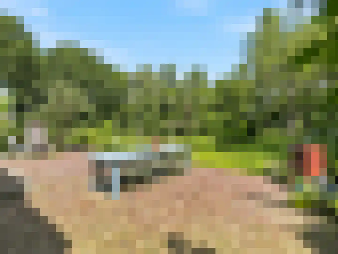 Voorsterweg 126 Brummen thumbnail 40