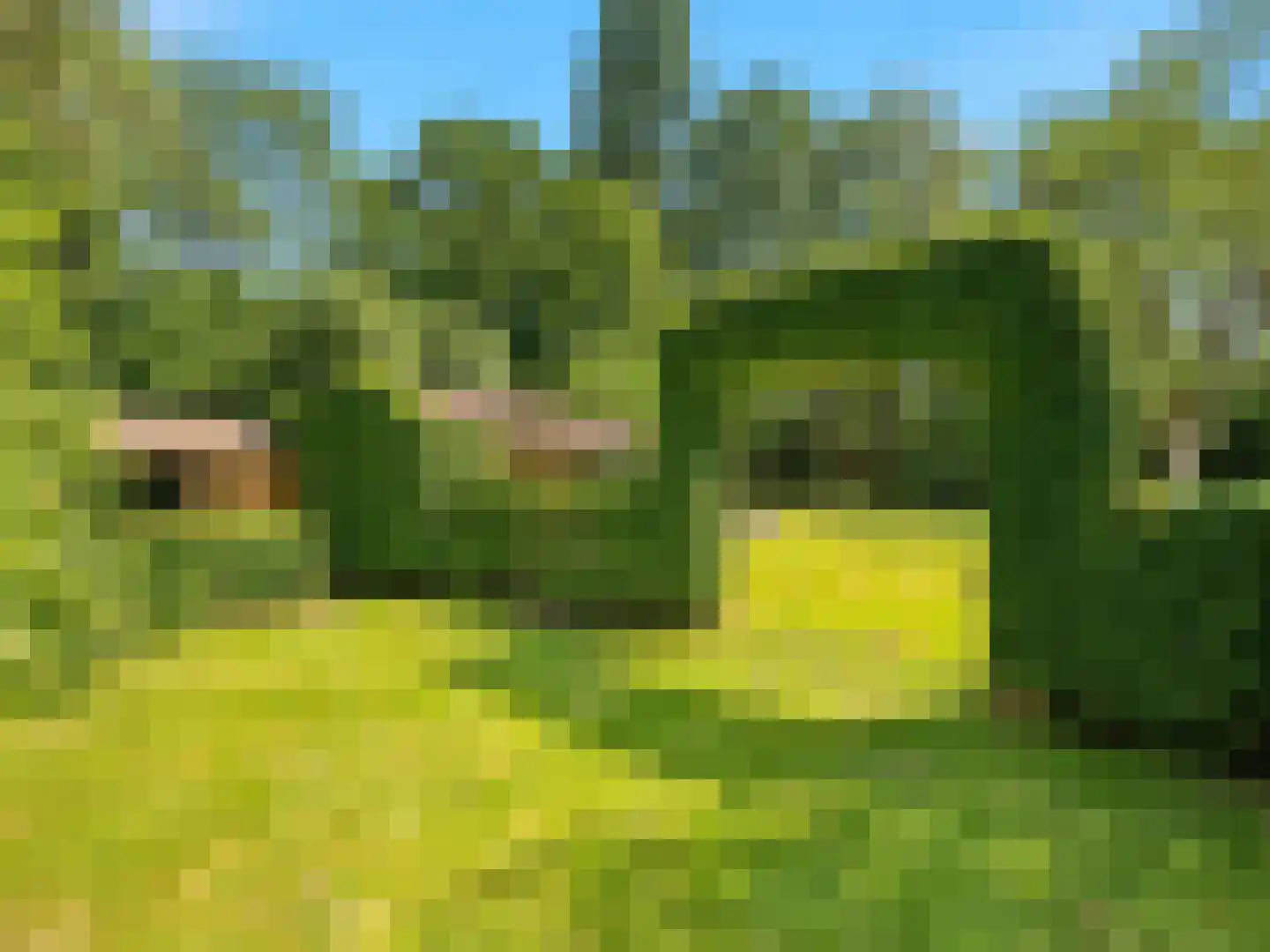 Voorsterweg 126 Brummen thumbnail 42