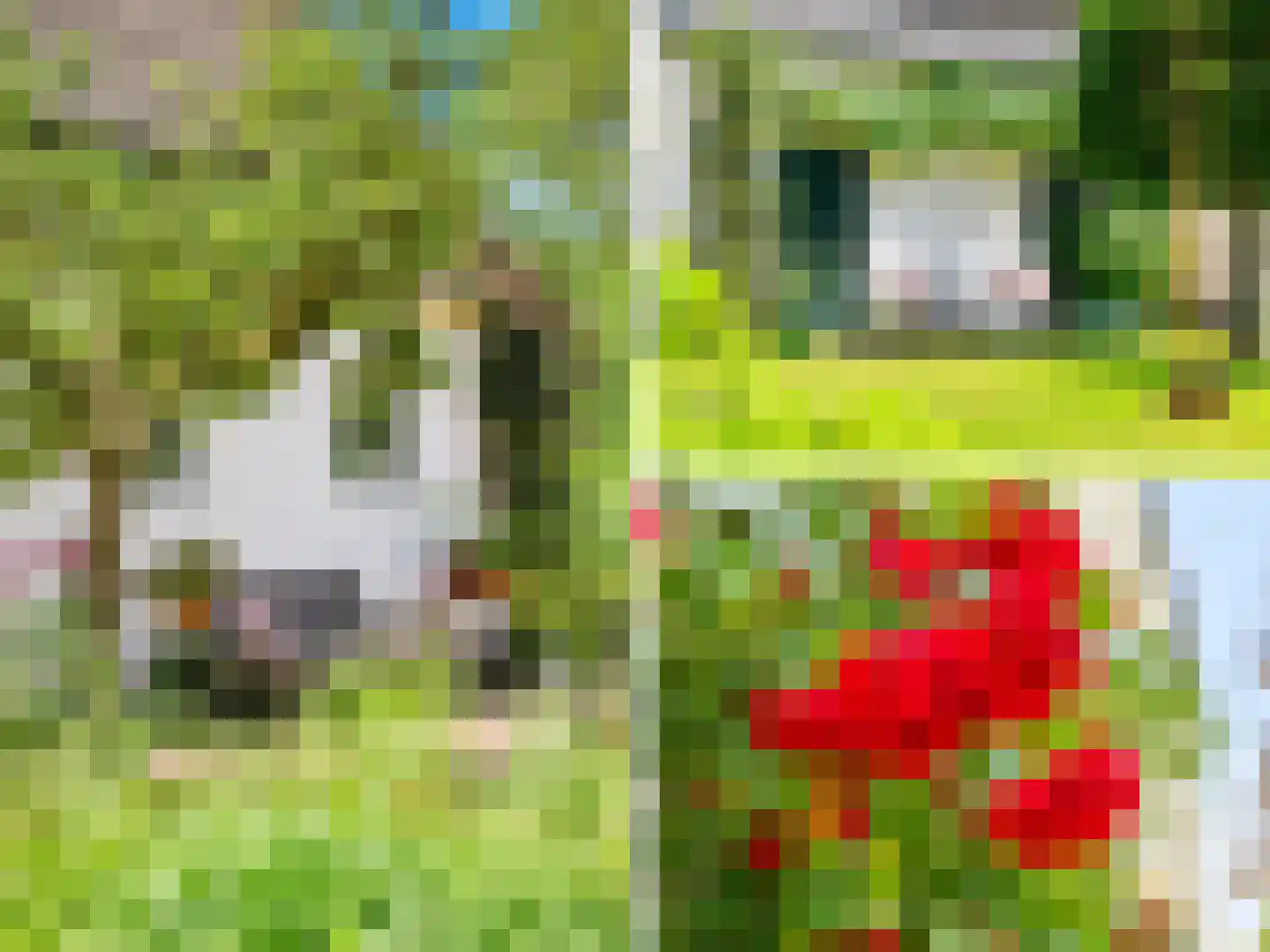 Voorsterweg 126 Brummen thumbnail 6