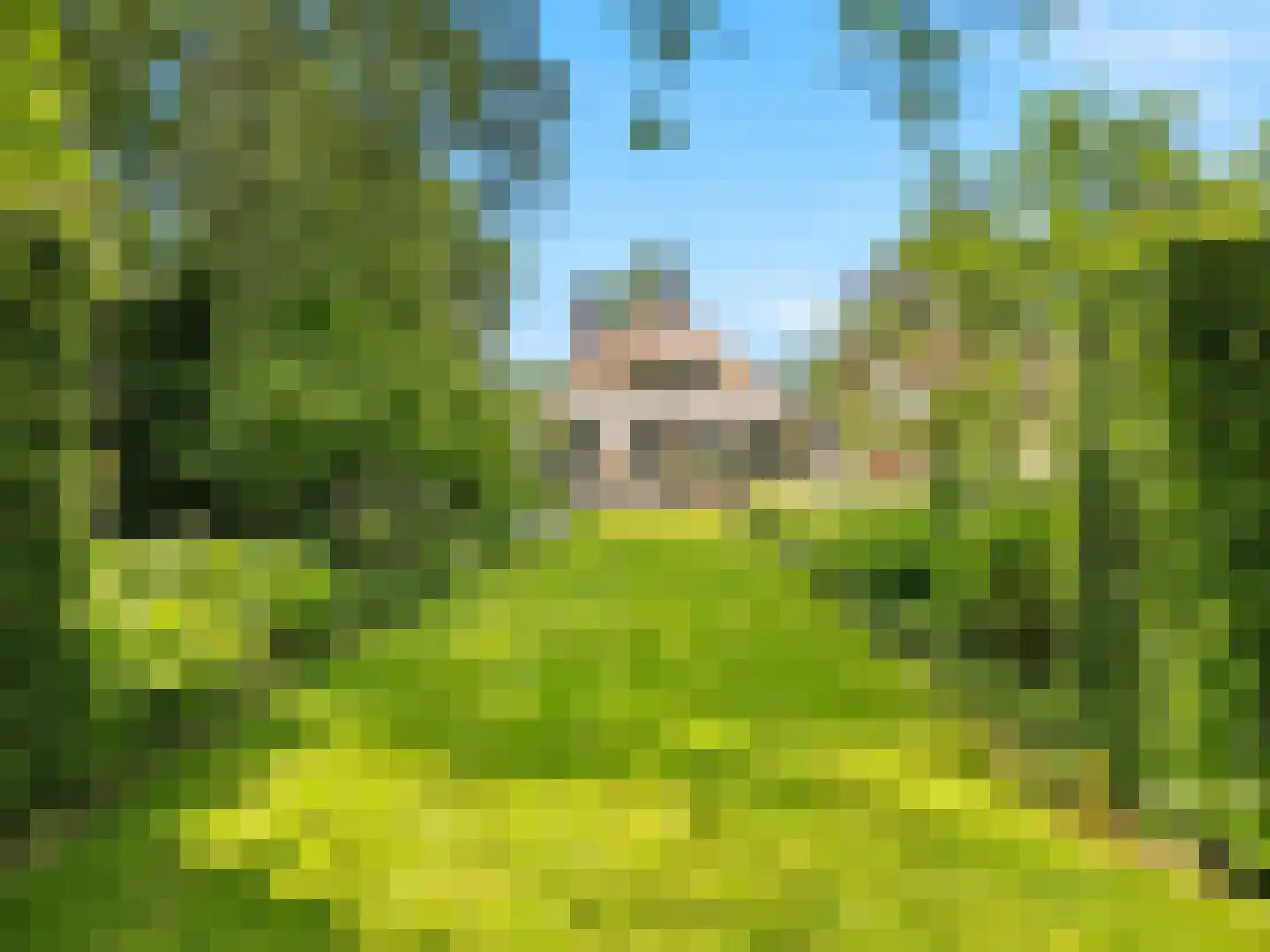 Voorsterweg 126 Brummen thumbnail 44