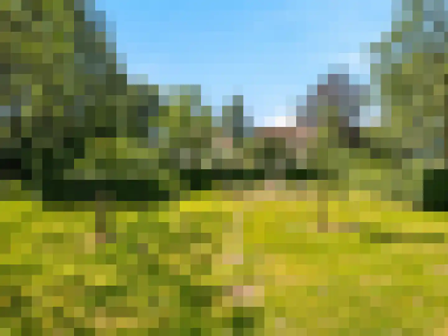 Voorsterweg 126 Brummen thumbnail 46