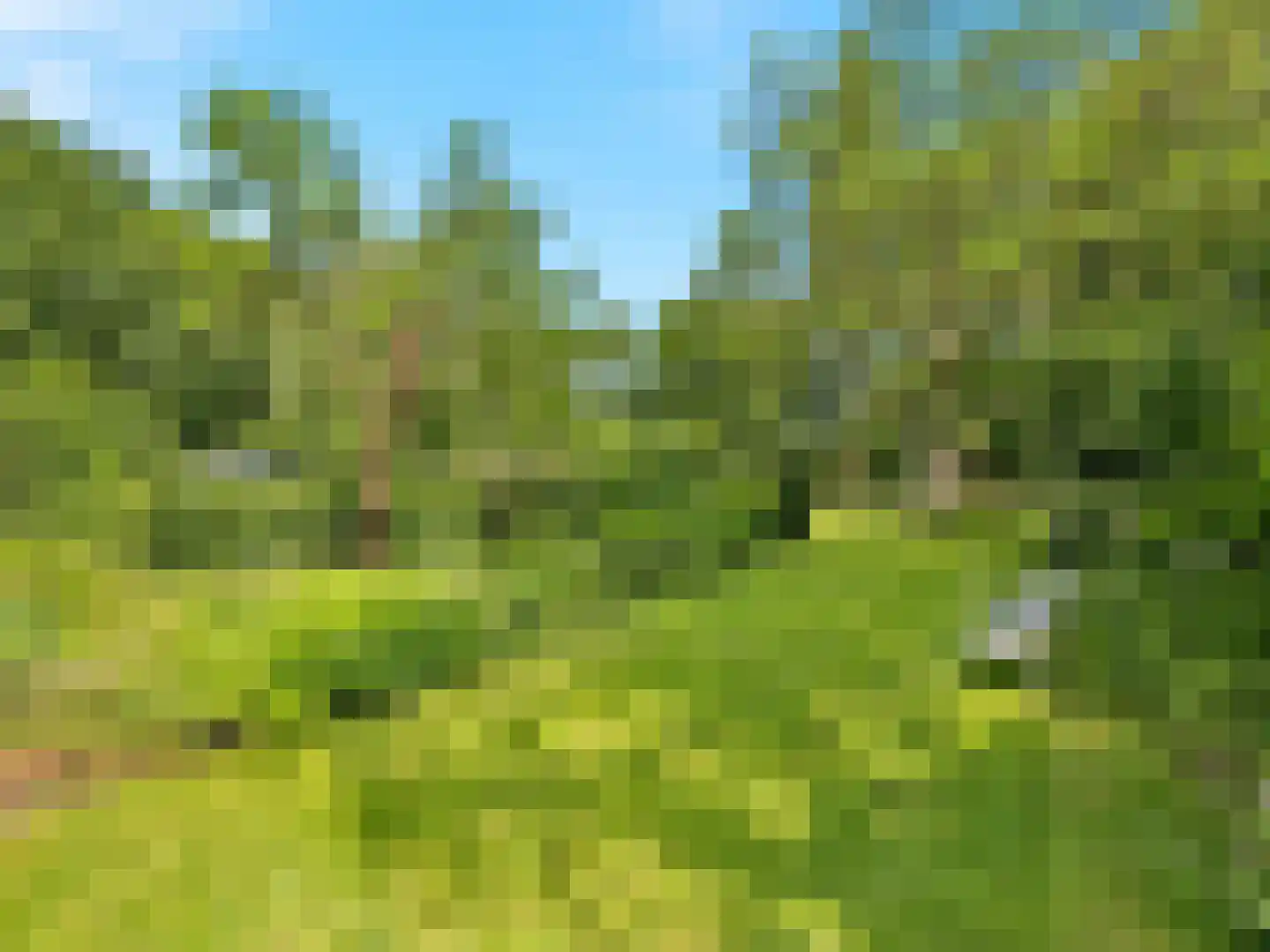 Voorsterweg 126 Brummen thumbnail 49
