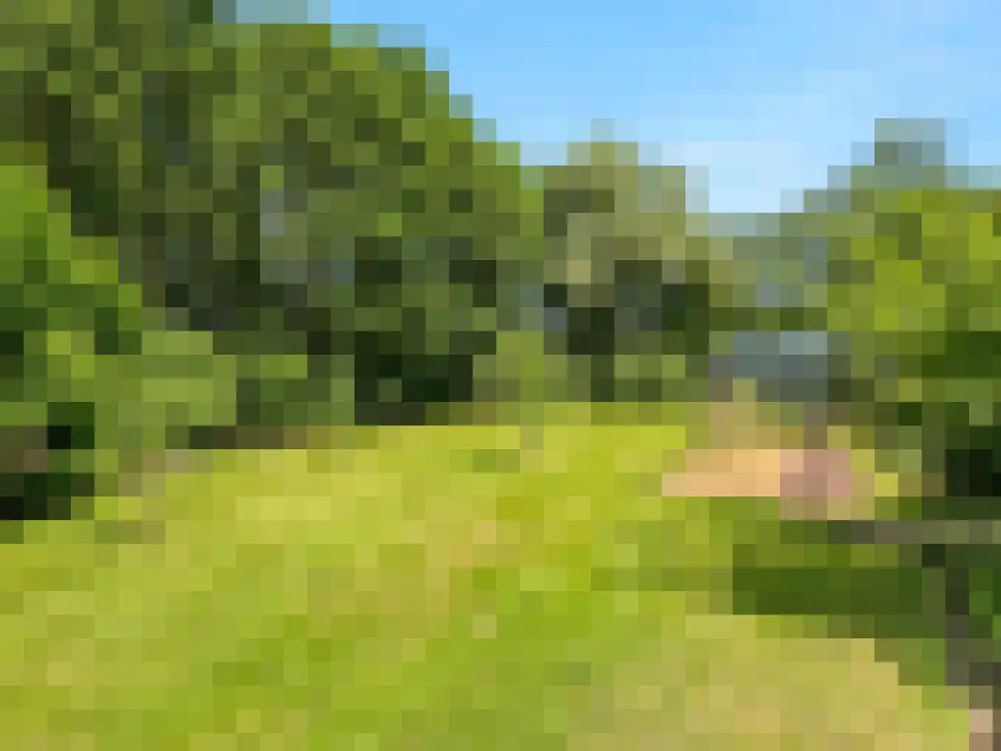 Voorsterweg 126 Brummen thumbnail 50