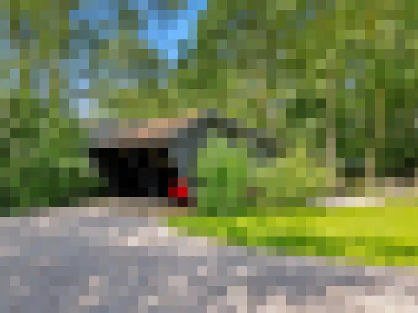 Voorsterweg 126 Brummen thumbnail 54