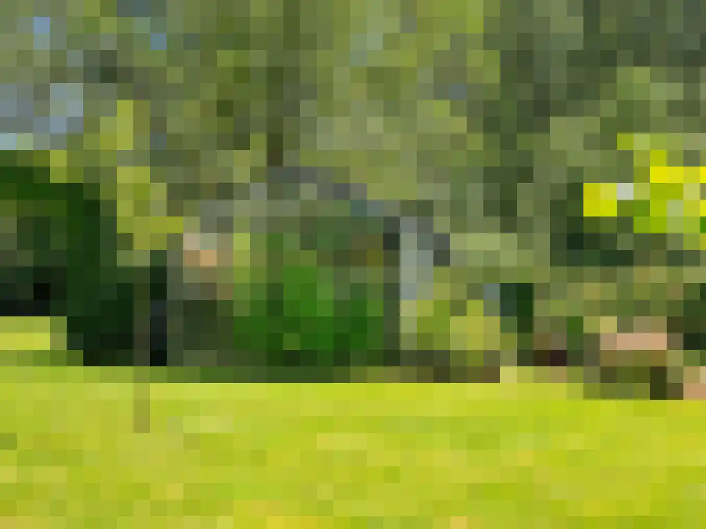 Voorsterweg 126 Brummen thumbnail 7