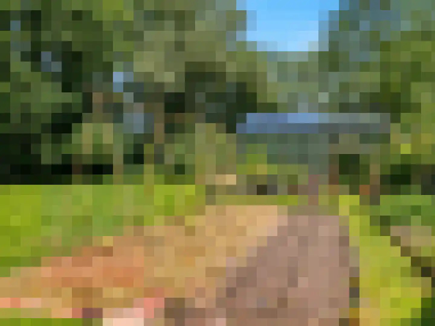 Voorsterweg 126 Brummen thumbnail 57
