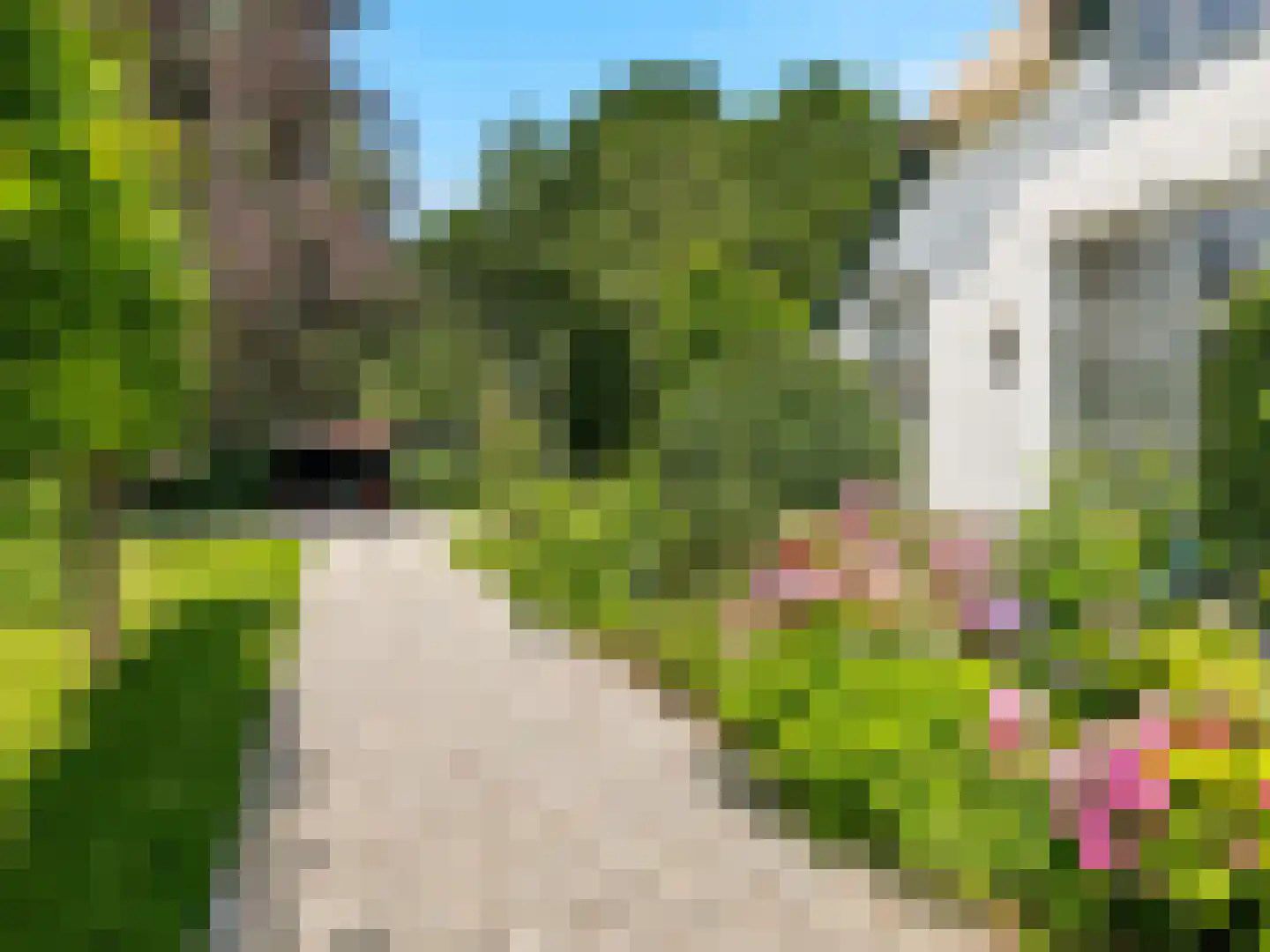 Voorsterweg 126 Brummen thumbnail 62