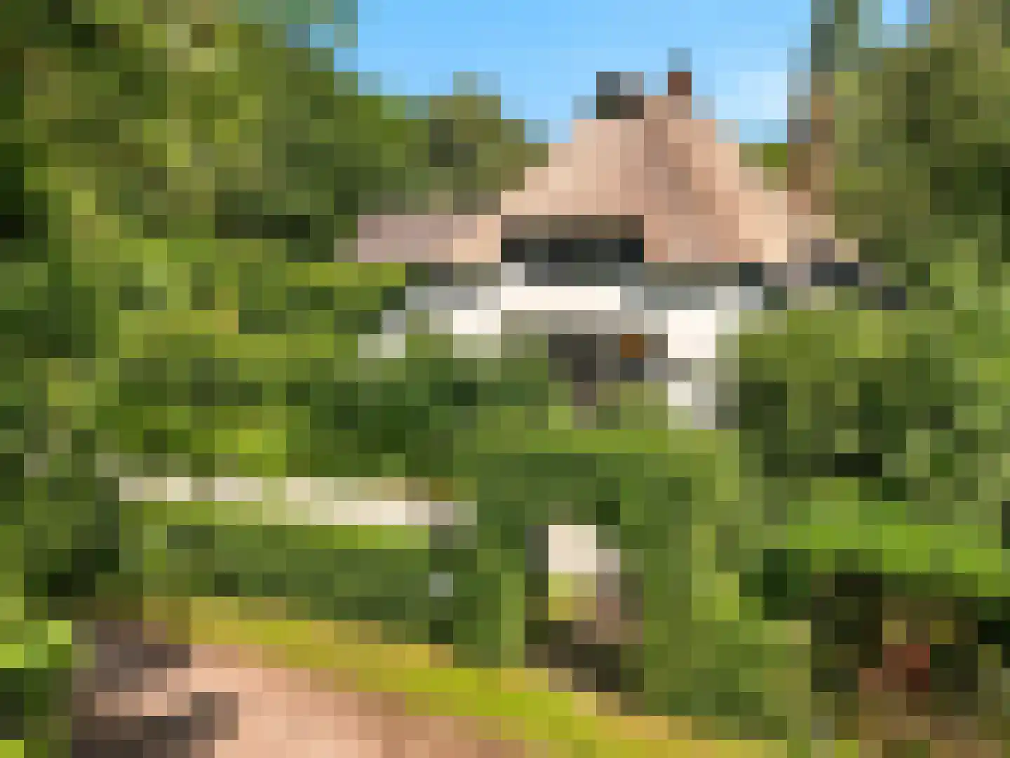 Voorsterweg 126 Brummen thumbnail 68