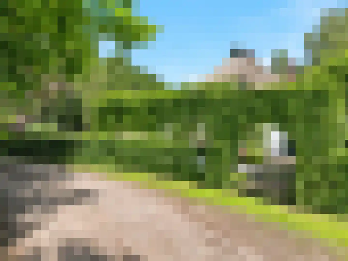 Voorsterweg 126 Brummen thumbnail 69