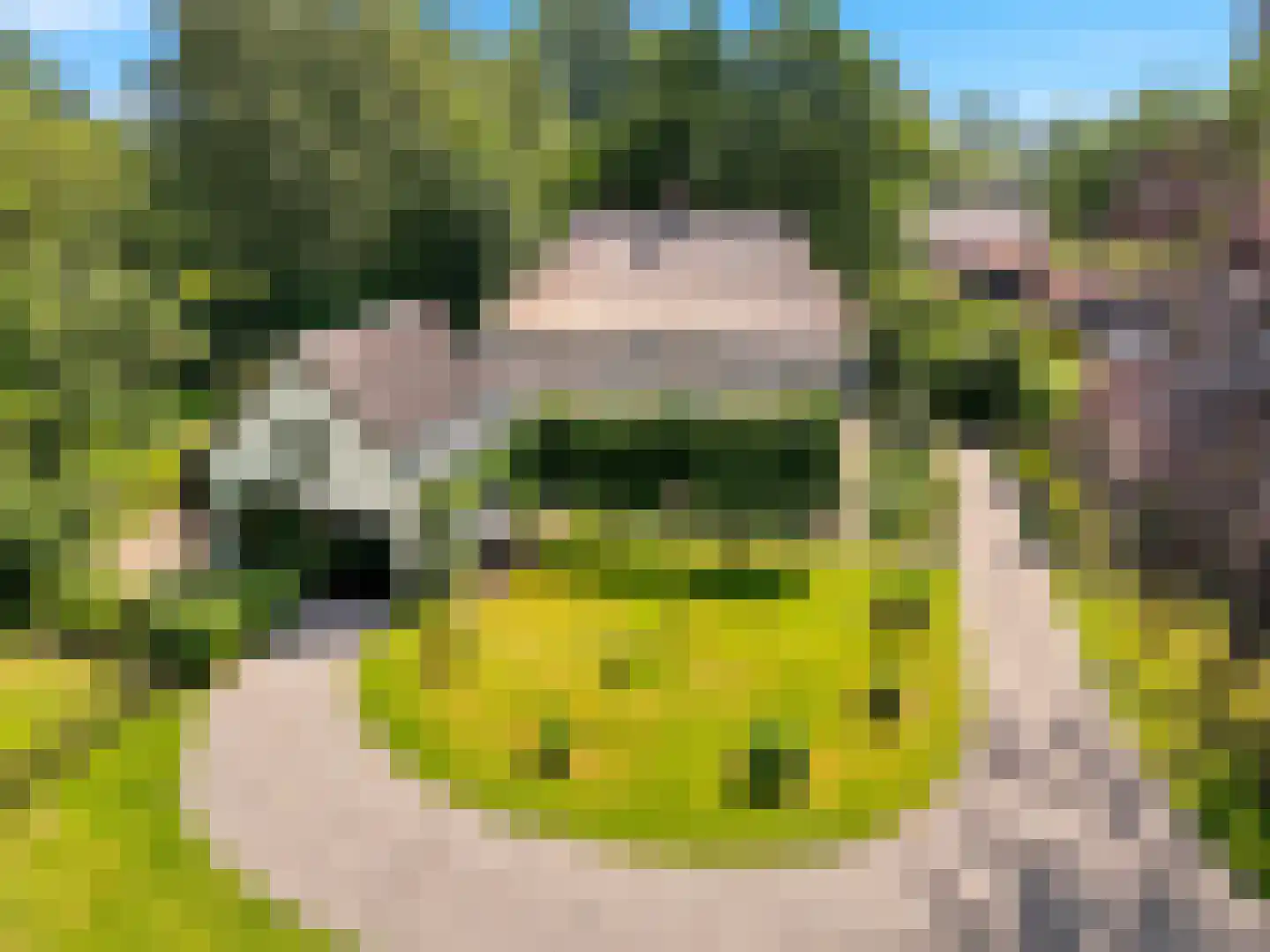 Voorsterweg 126 Brummen thumbnail 70