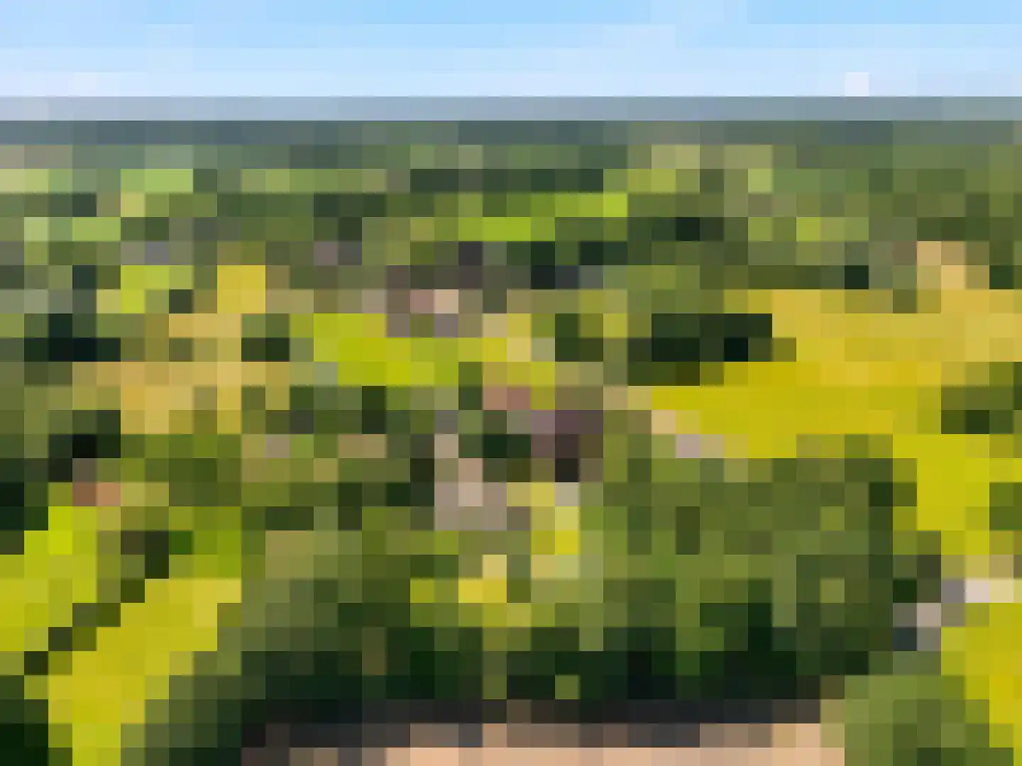 Voorsterweg 126 Brummen thumbnail 71