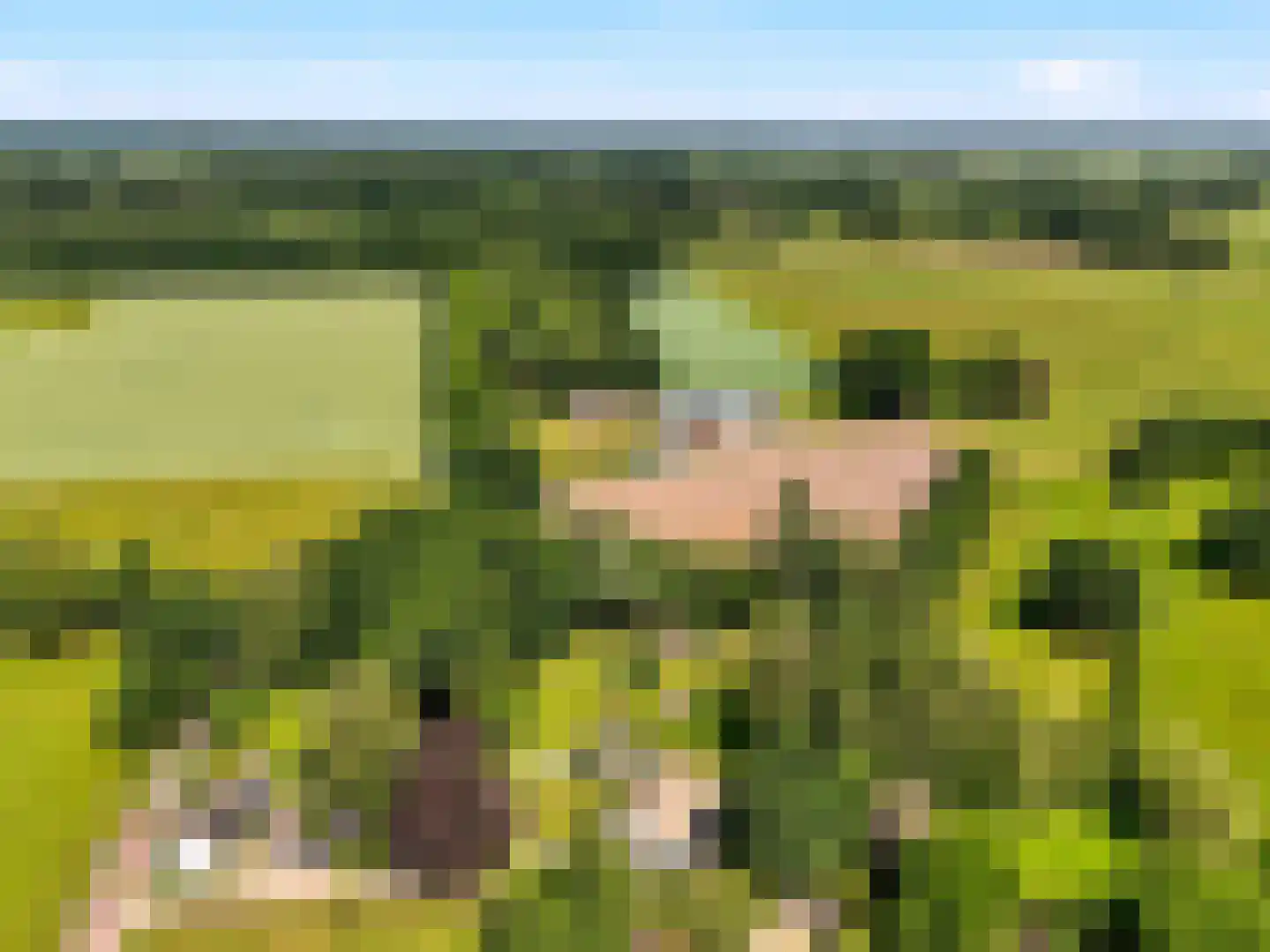 Voorsterweg 126 Brummen thumbnail 72