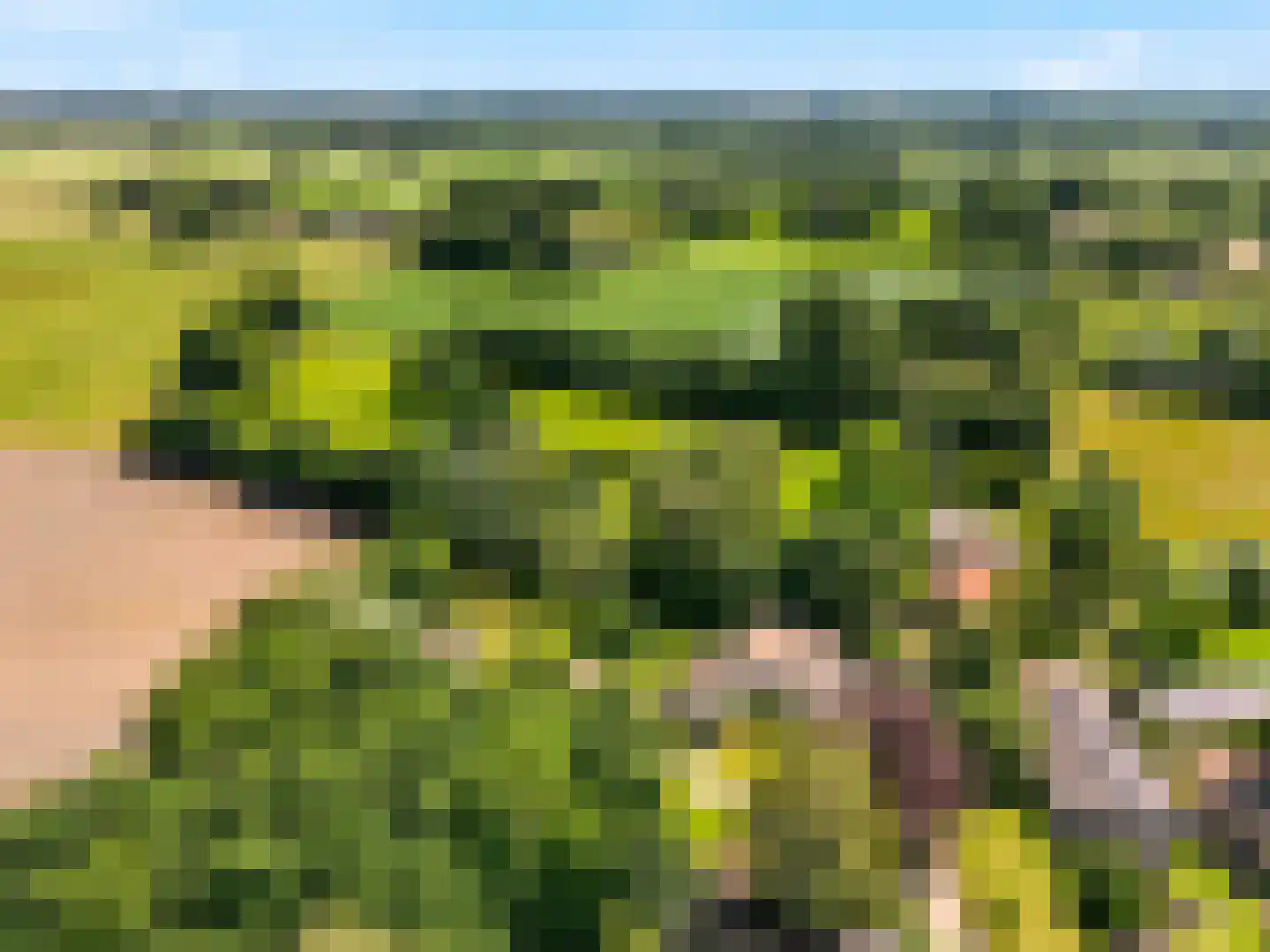 Voorsterweg 126 Brummen thumbnail 73