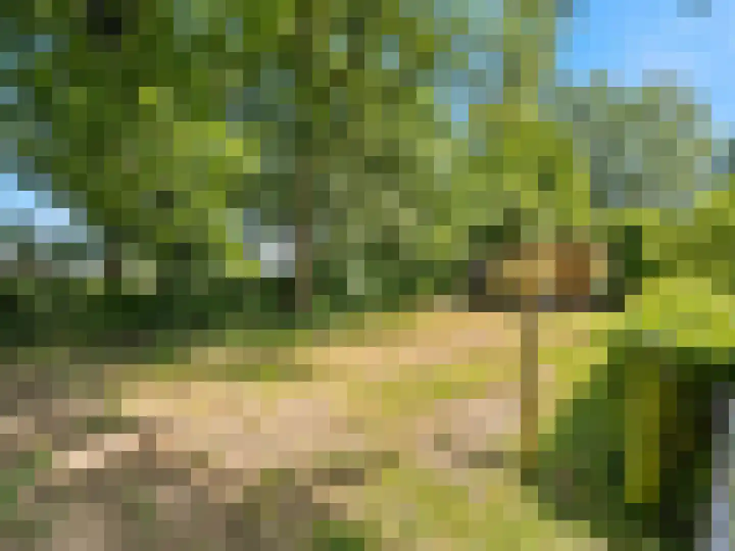 Voorsterweg 126 Brummen thumbnail 76
