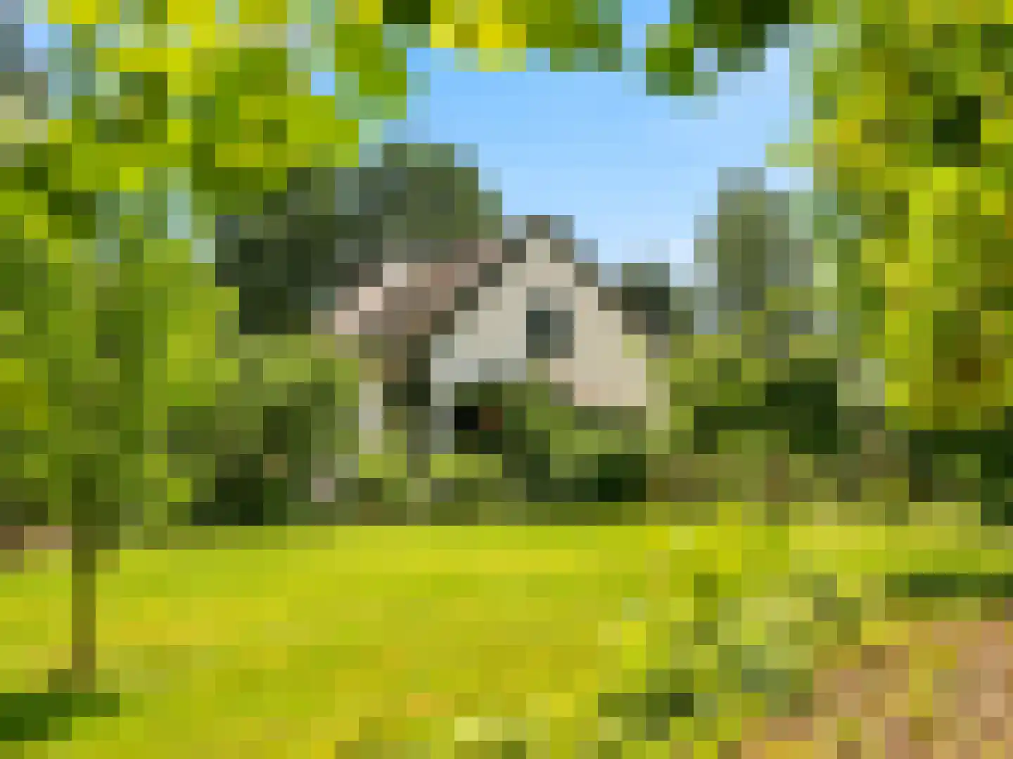 Voorsterweg 126 Brummen thumbnail 77