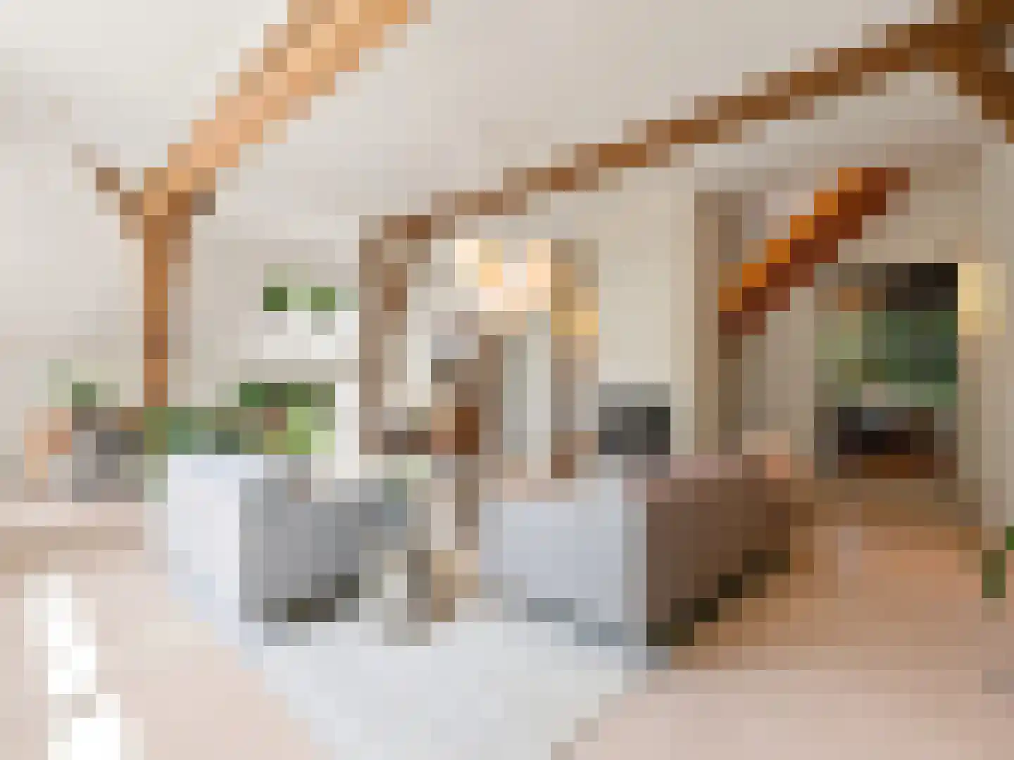 Voorsterweg 126 Brummen thumbnail 8