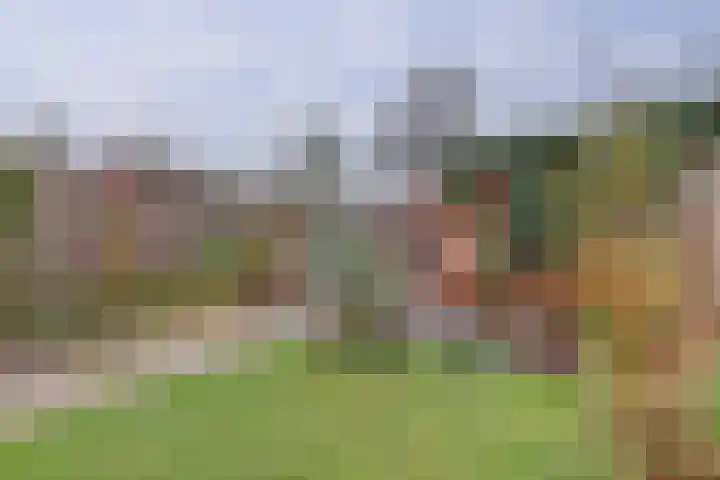 Voorsterweg 17 Brummen thumbnail 26
