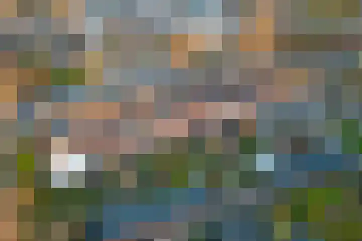 Voorsterweg 17 Brummen thumbnail 4