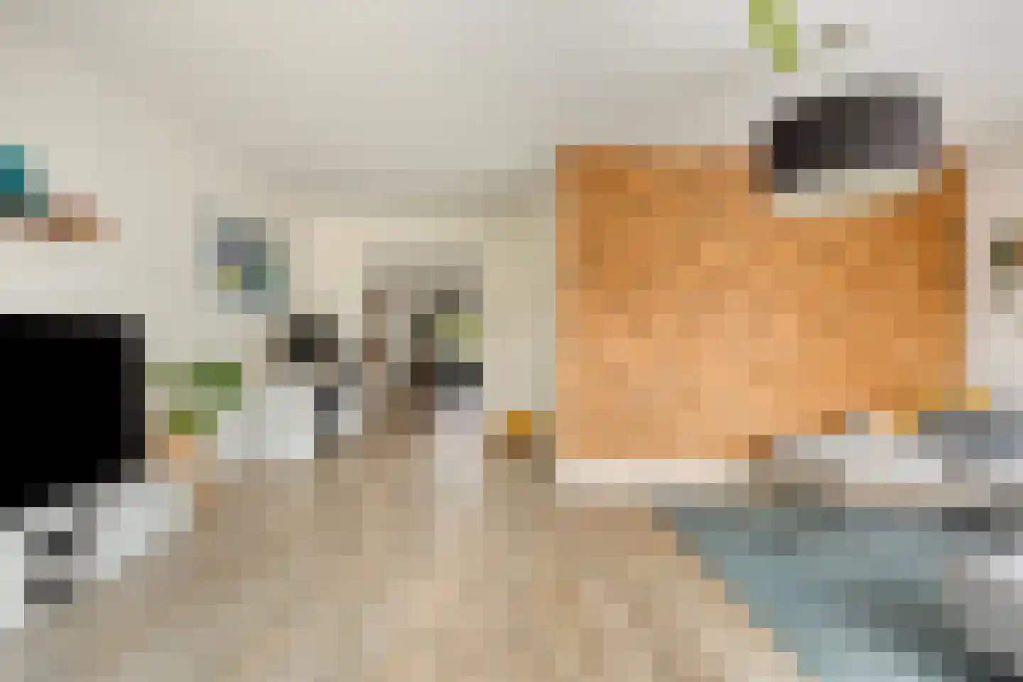 Voorsterweg 2 F Zwolle thumbnail 10