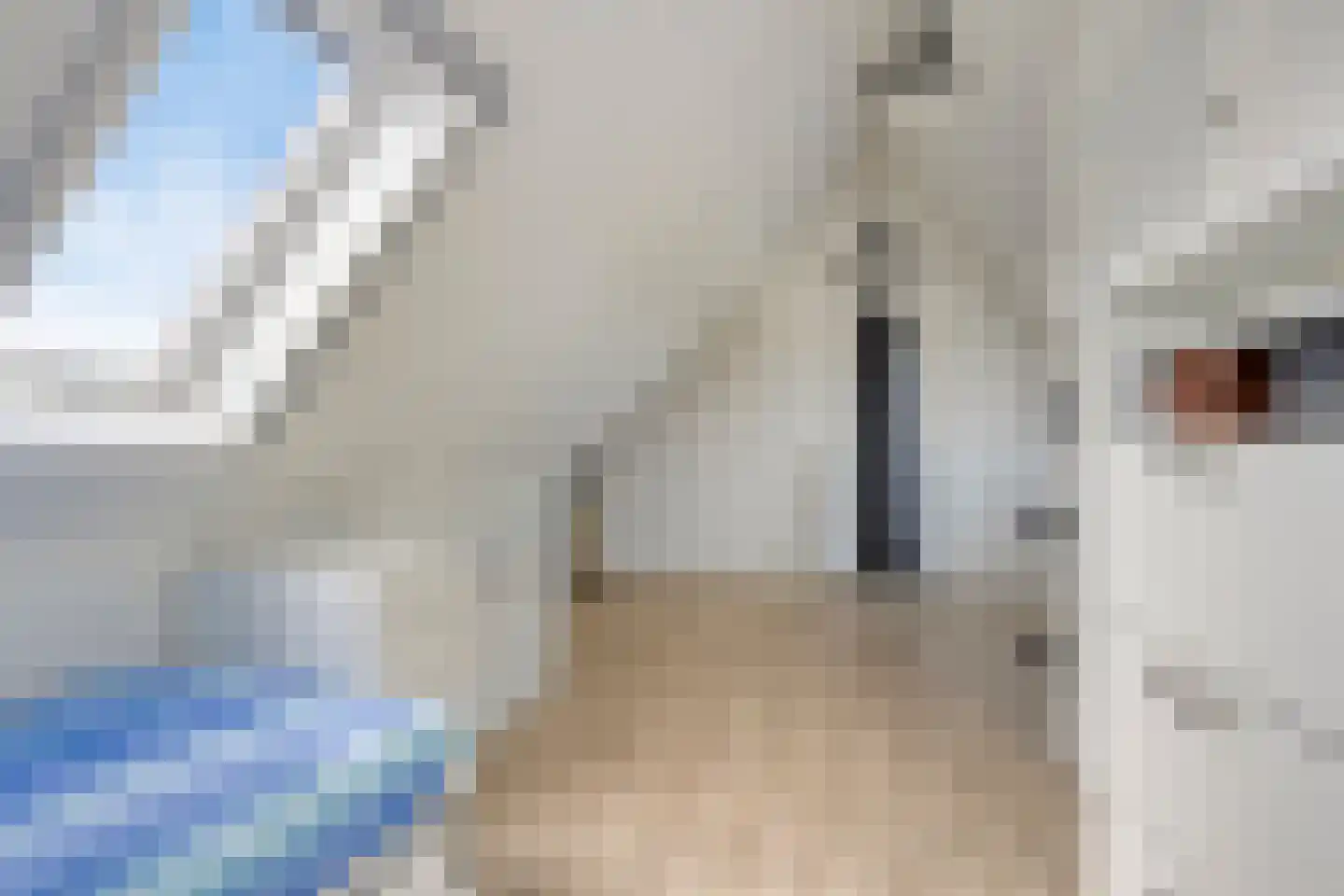 Voorsterweg 2 F Zwolle thumbnail 34