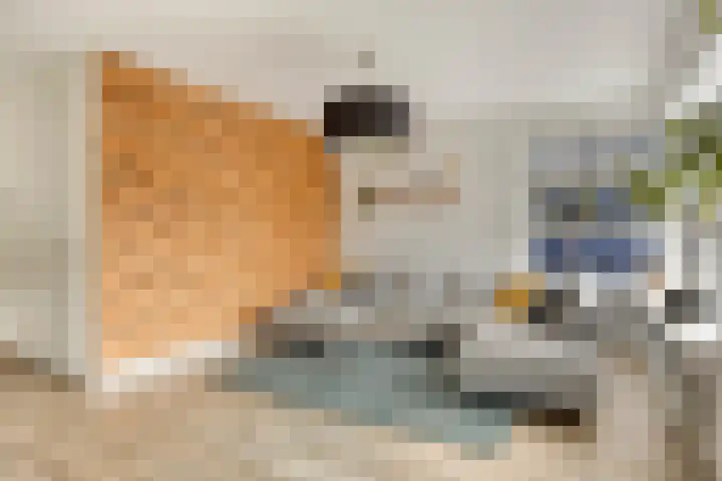 Voorsterweg 2 F Zwolle thumbnail 8