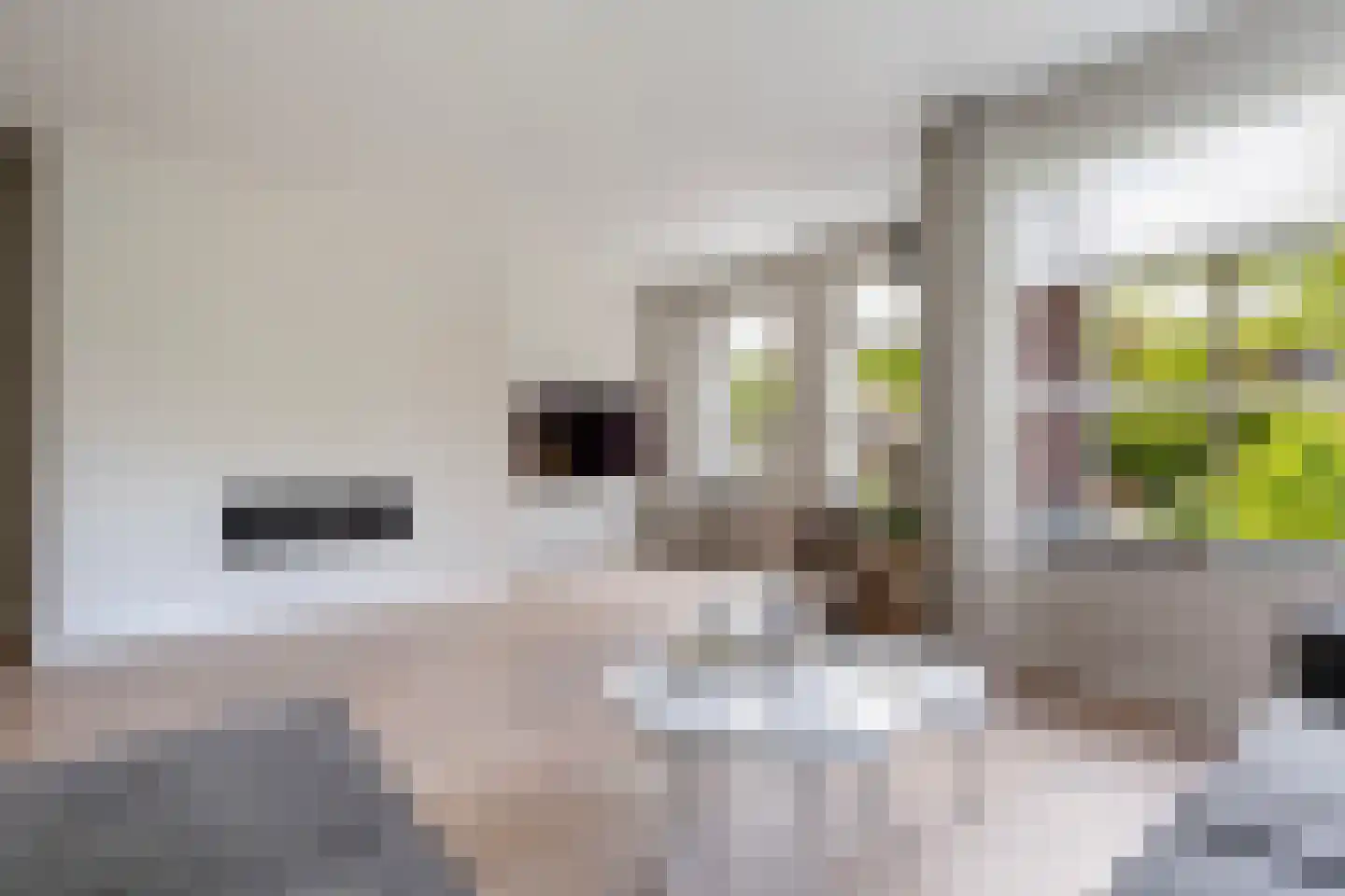 Voorsterweg 2 G Zwolle thumbnail 12