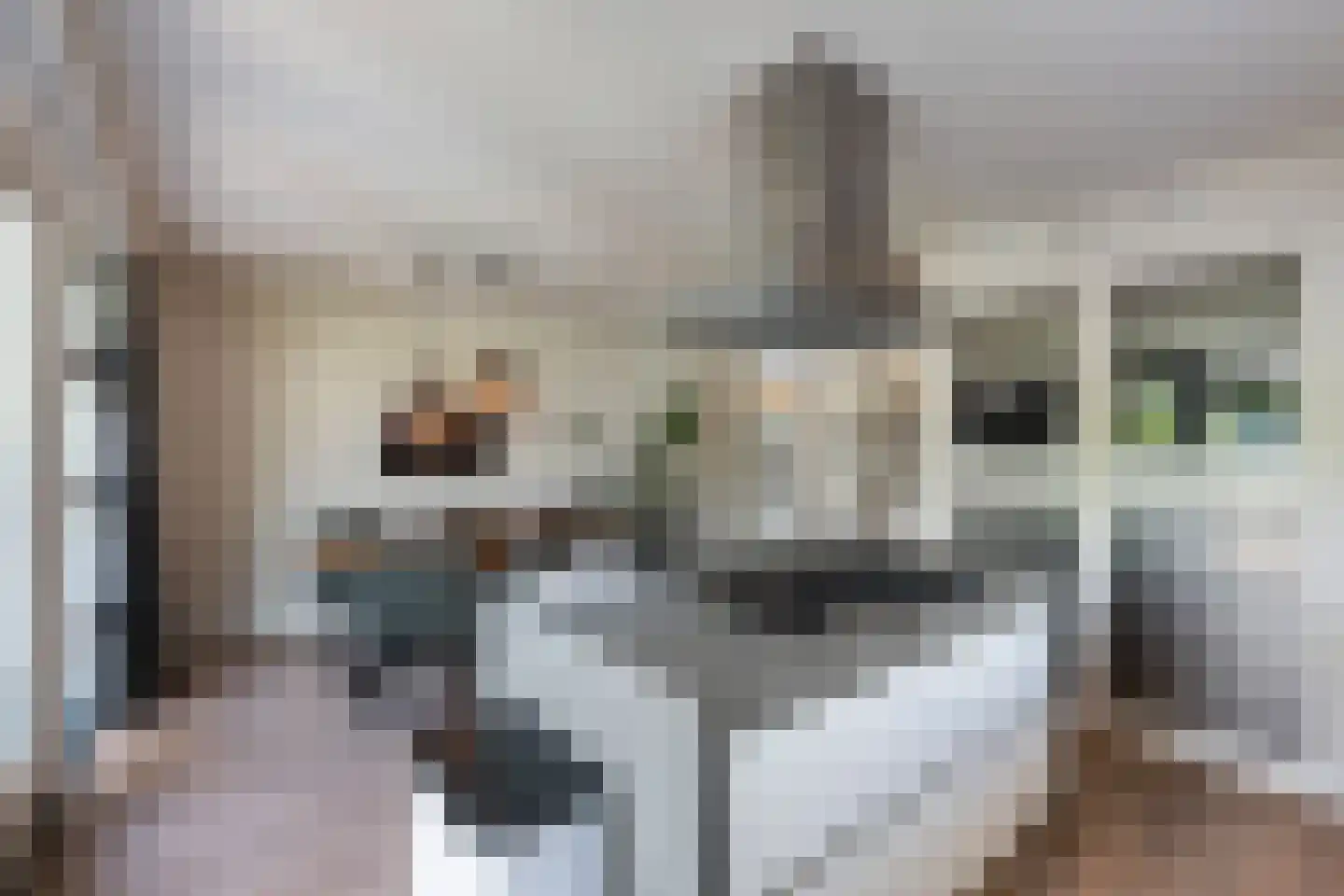 Voorsterweg 2 G Zwolle thumbnail 21