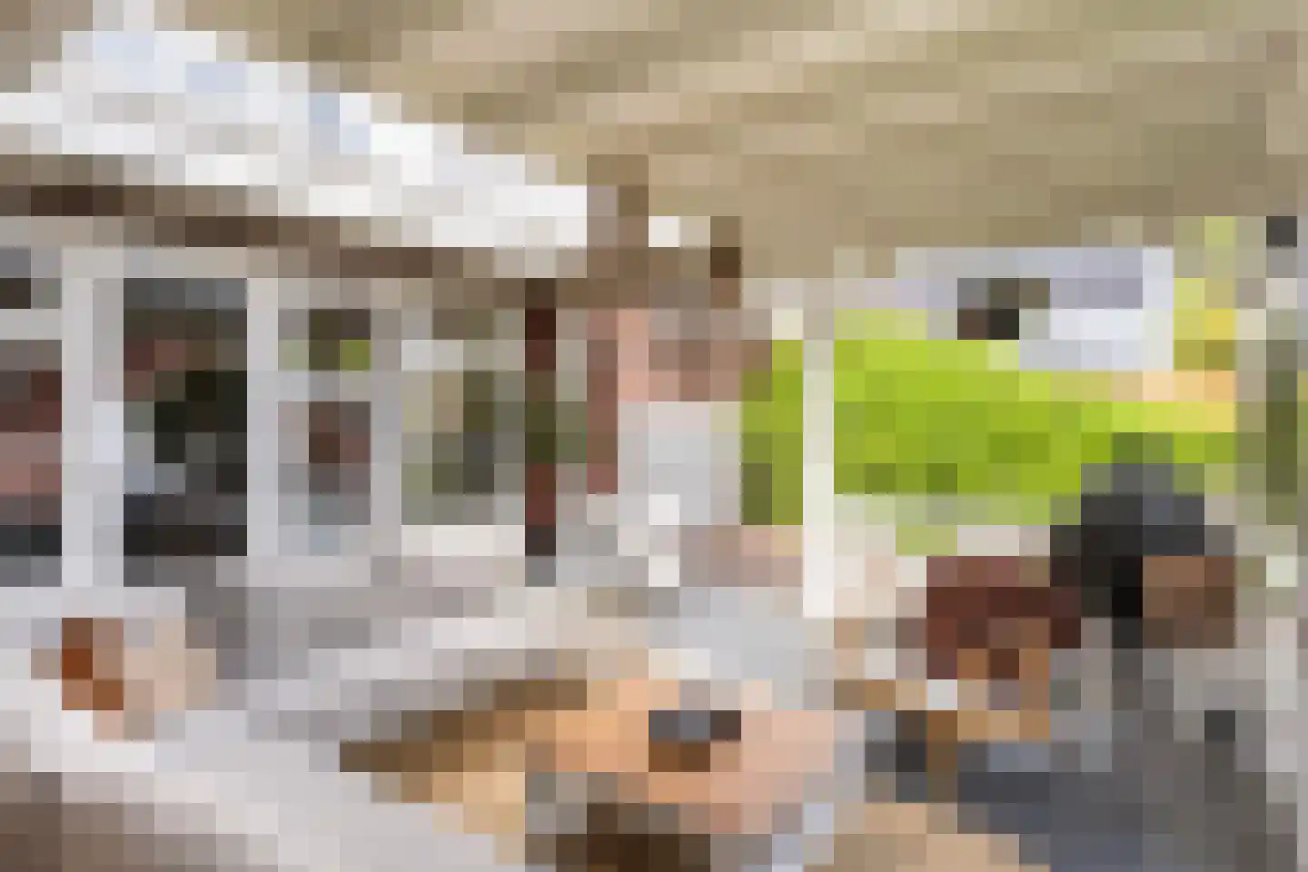 Voorsterweg 2 G Zwolle thumbnail 23