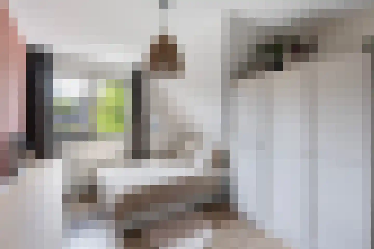 Voorsterweg 2 G Zwolle thumbnail 37