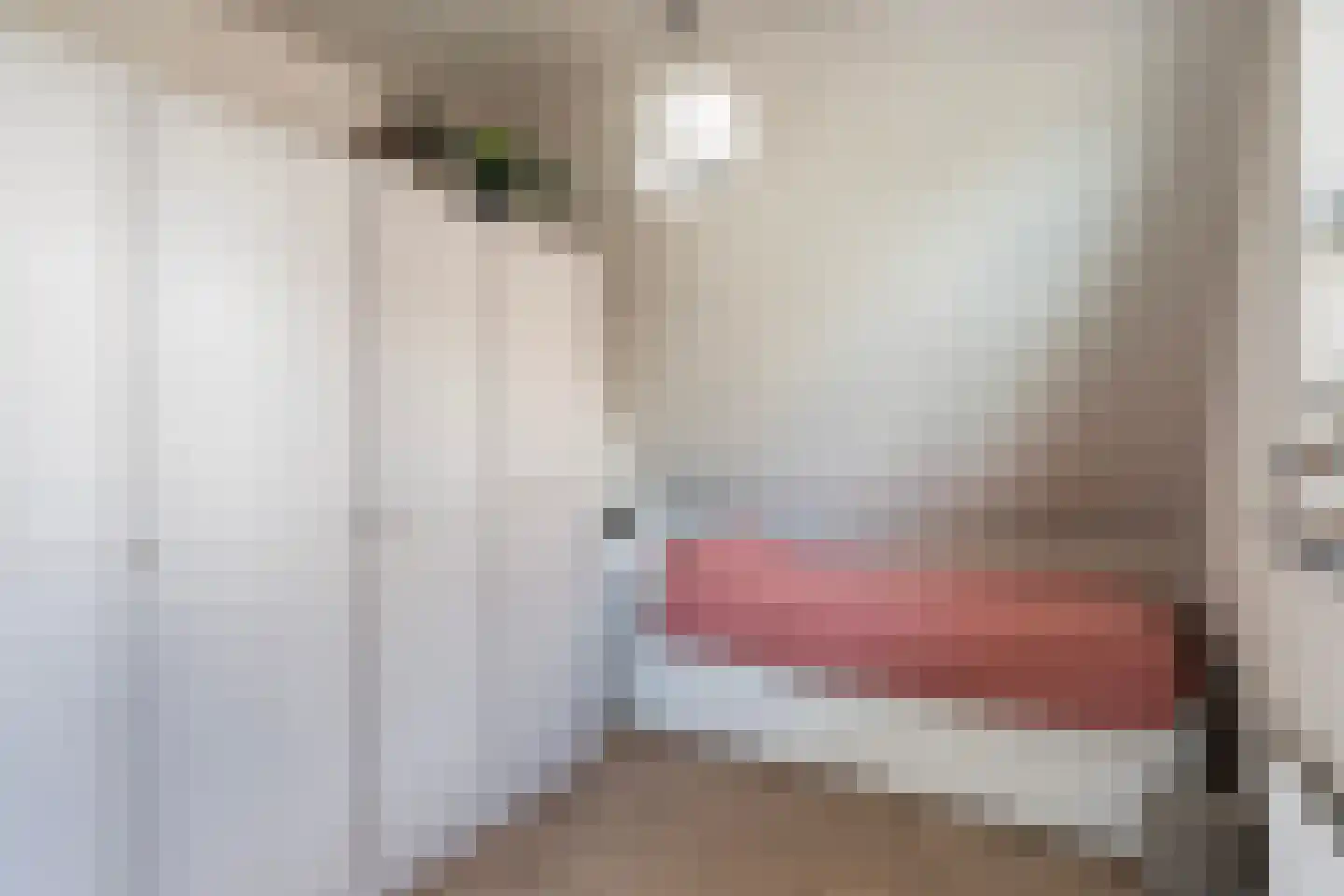 Voorsterweg 2 G Zwolle thumbnail 39