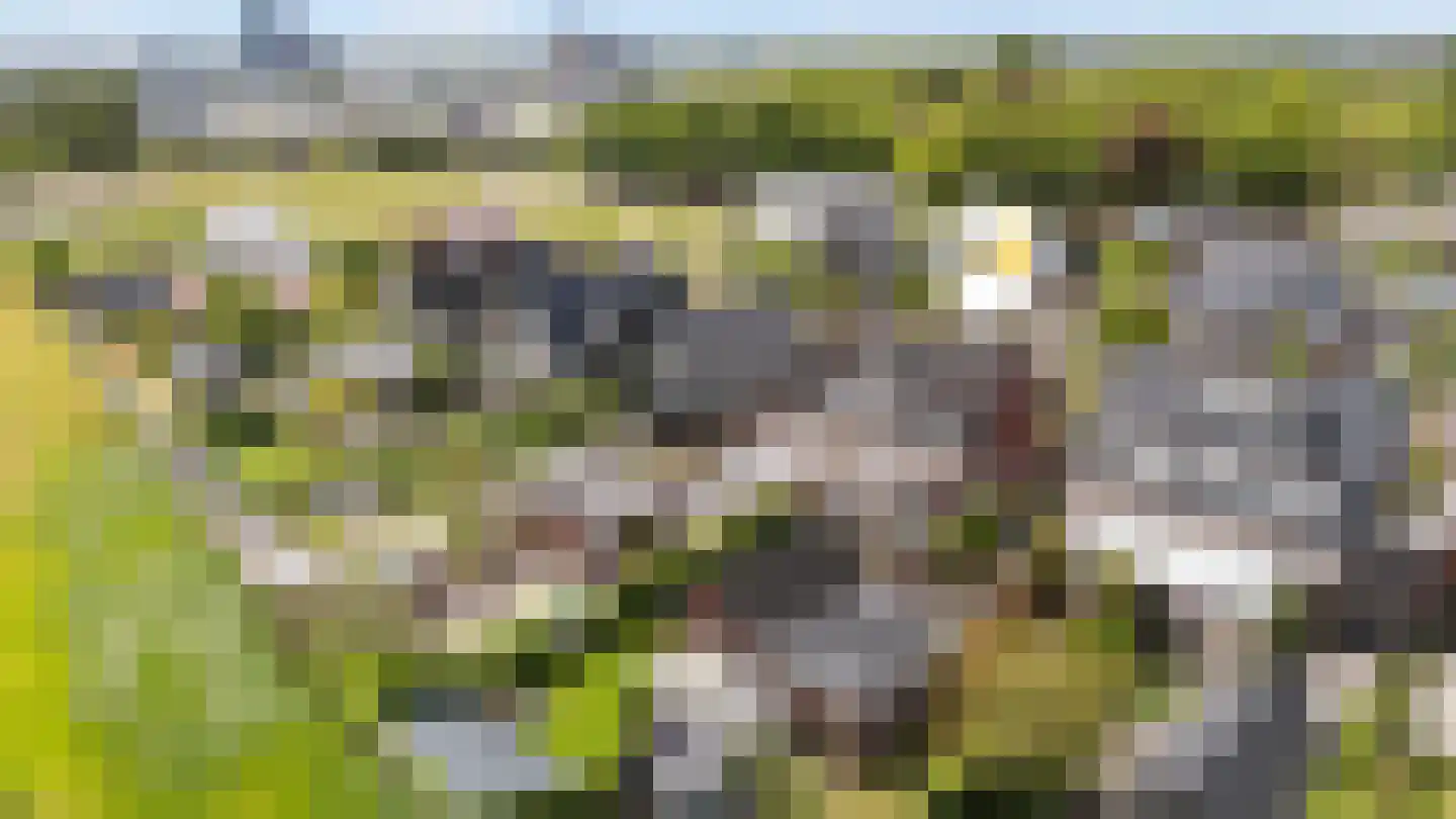 Voorsterweg 2 G Zwolle thumbnail 47