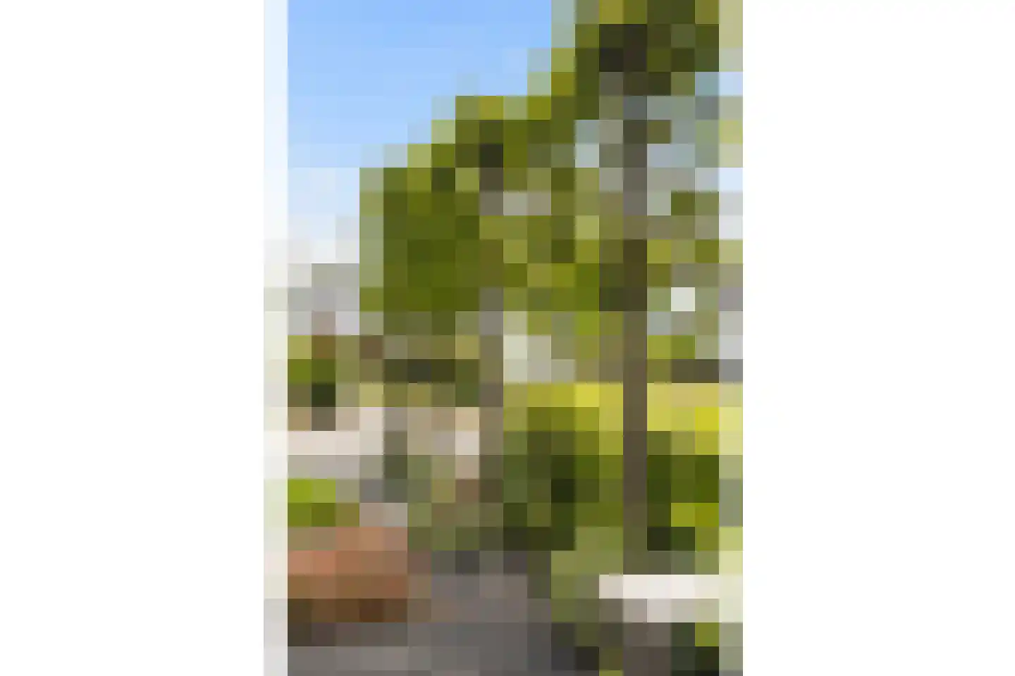 Voorsterweg 2 G Zwolle thumbnail 6
