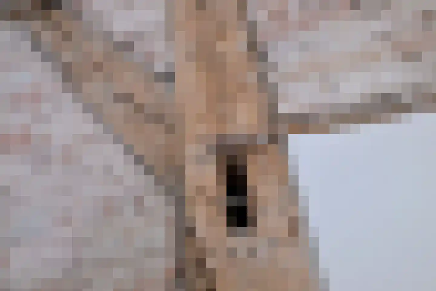 Voorsterweg 24 Brummen thumbnail 22