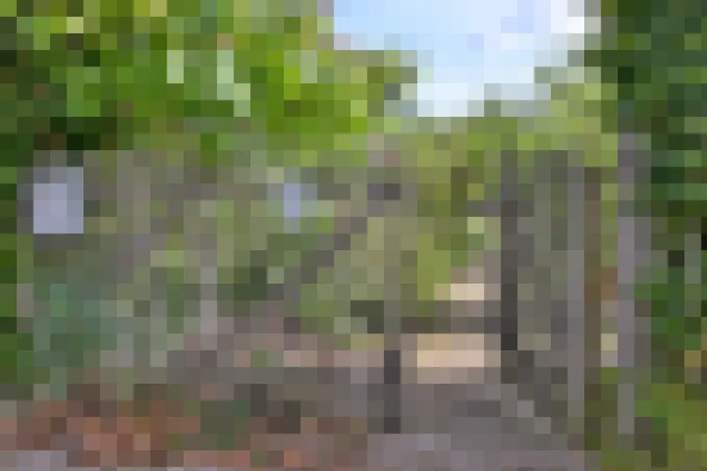 Voorsterweg 24 Brummen thumbnail 39