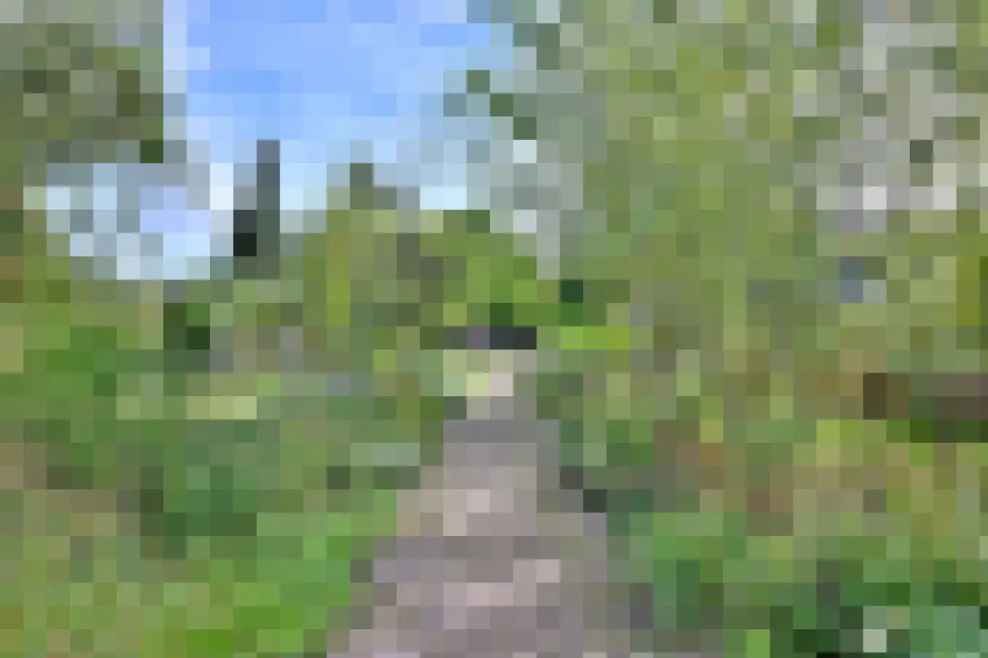 Voorsterweg 24 Brummen thumbnail 40