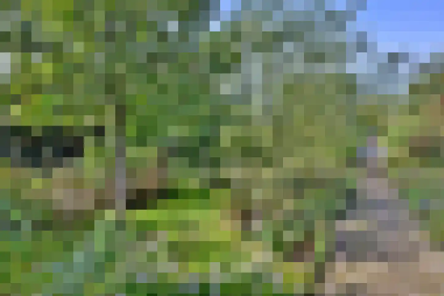 Voorsterweg 24 Brummen thumbnail 41