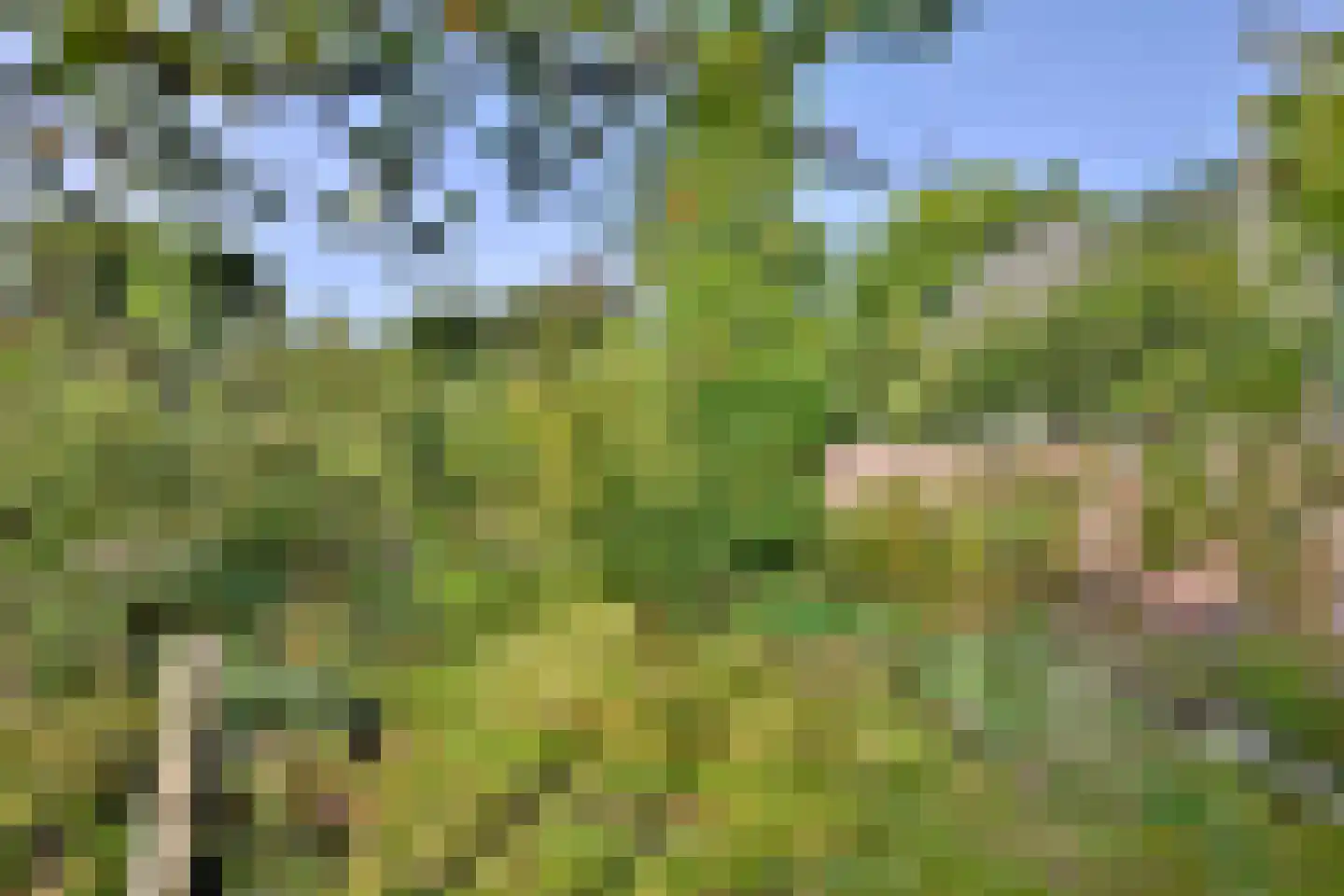 Voorsterweg 24 Brummen thumbnail 42