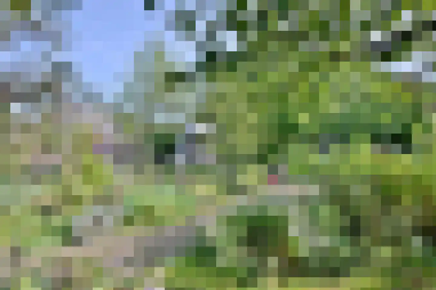Voorsterweg 24 Brummen thumbnail 44