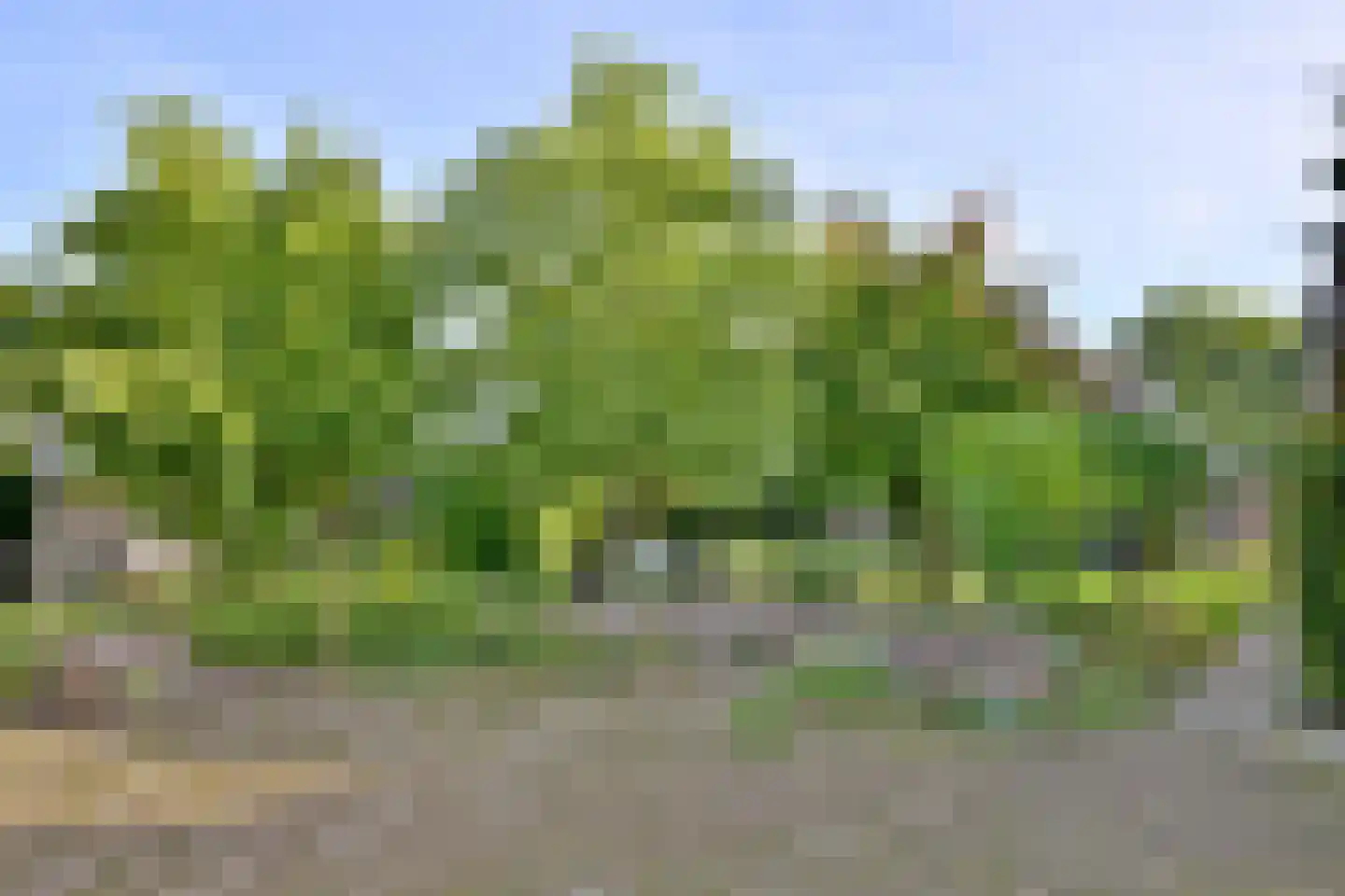 Voorsterweg 24 Brummen thumbnail 45