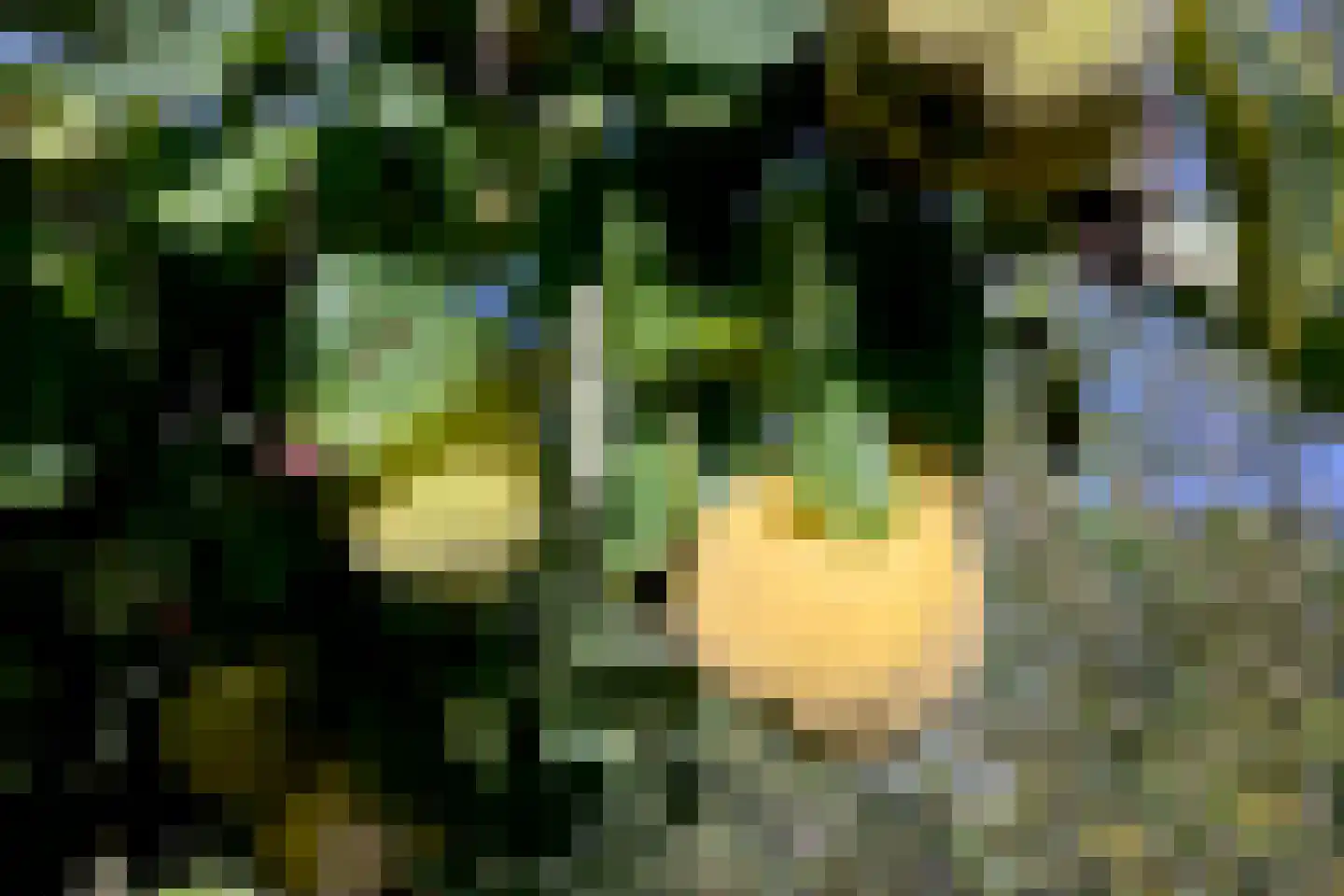 Voorsterweg 24 Brummen thumbnail 47