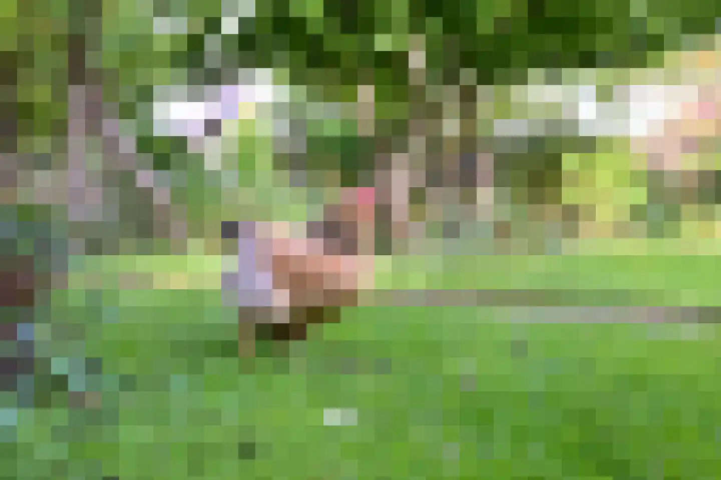 Voorsterweg 24 Brummen thumbnail 48