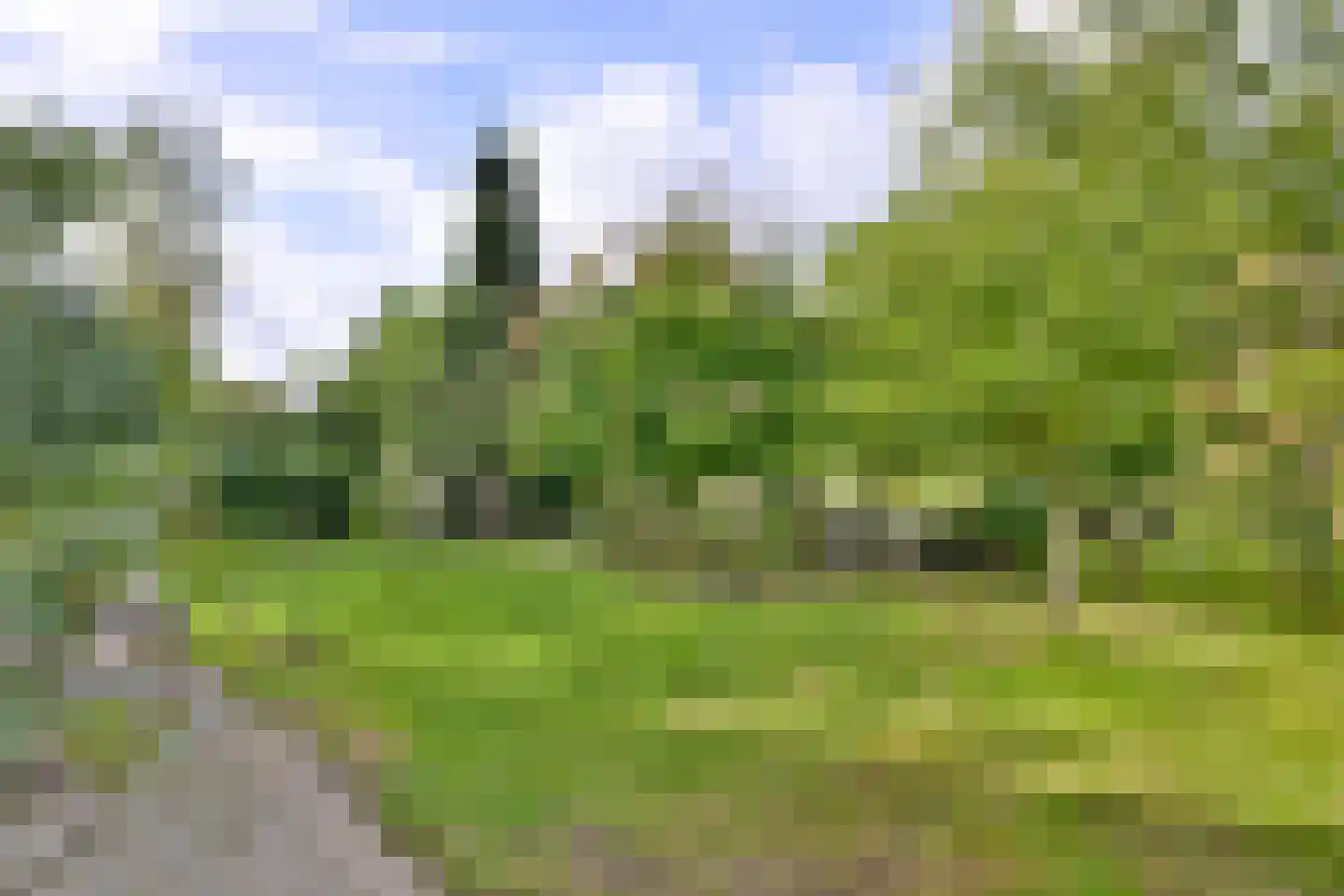 Voorsterweg 24 Brummen thumbnail 55
