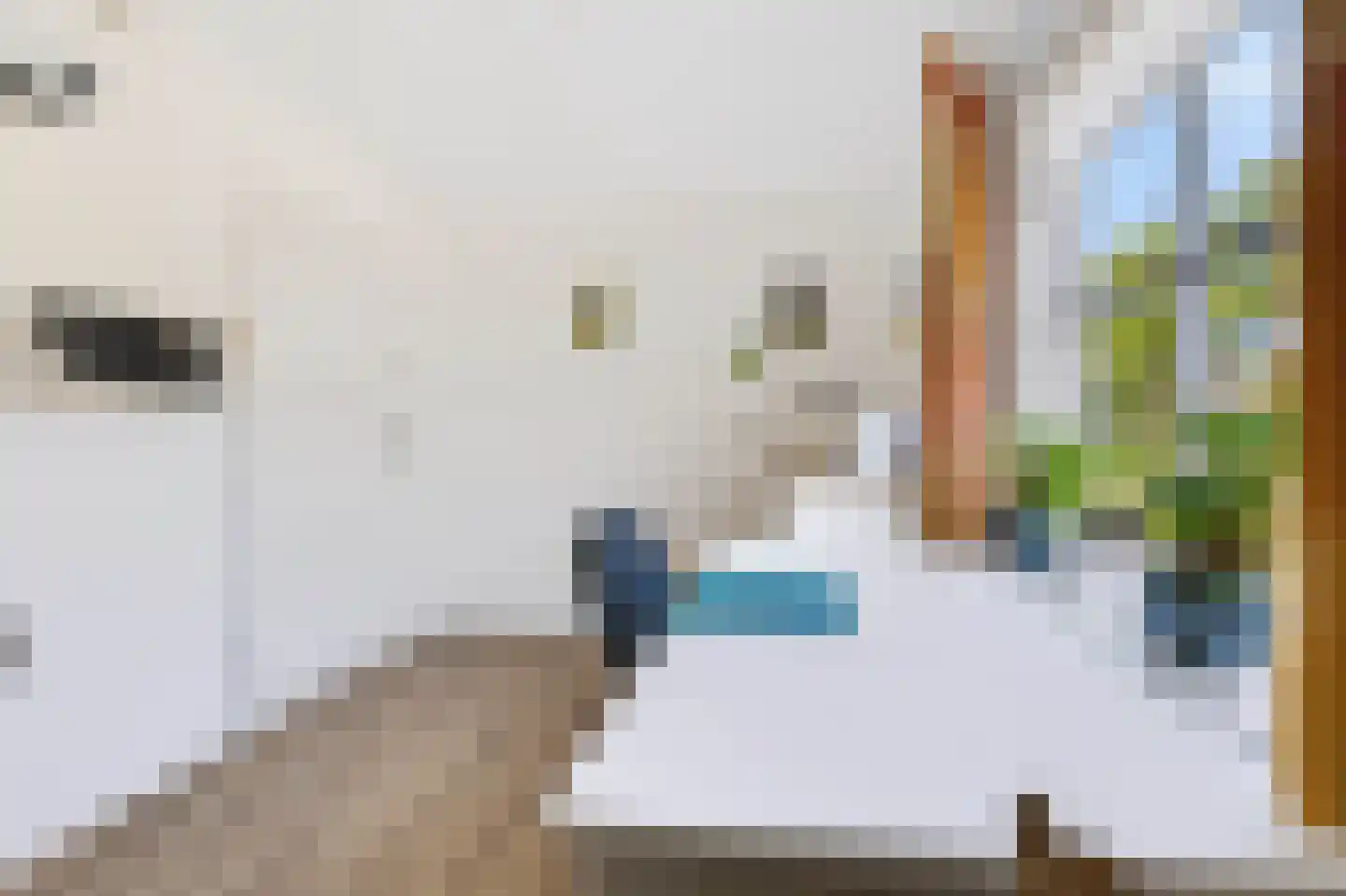 Voorsterweg 32 Loenen thumbnail 20