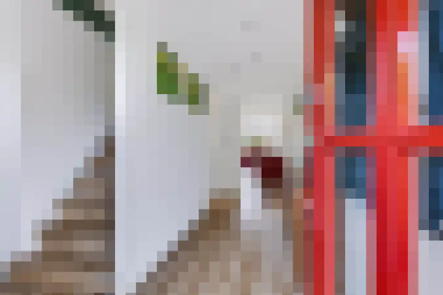 Voorsterweg 32 Loenen thumbnail 22