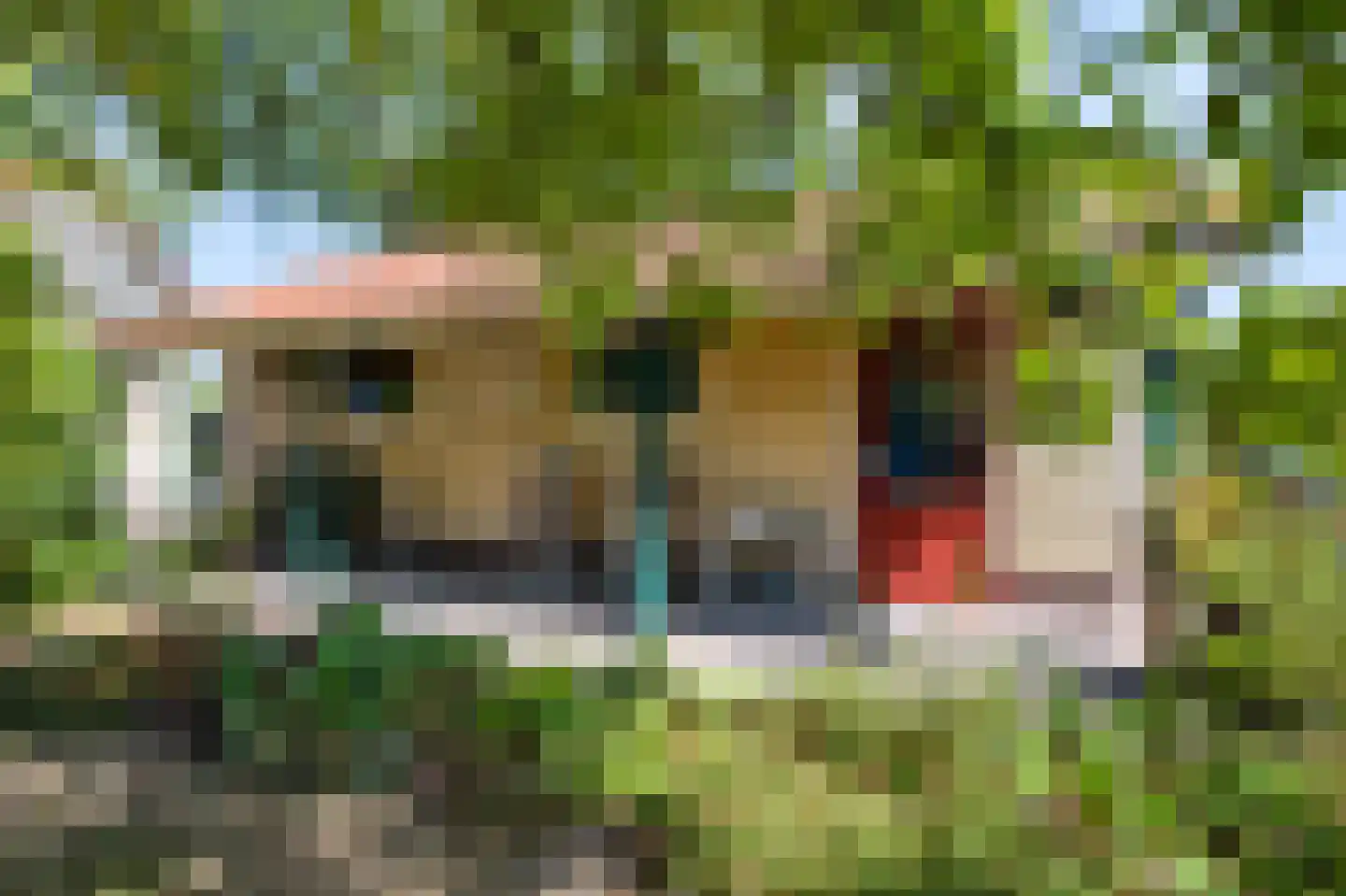 Voorsterweg 32 Loenen thumbnail 45
